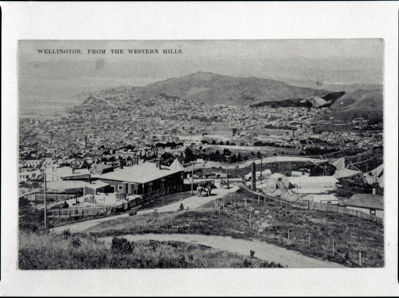 Wellington from the Western Hills