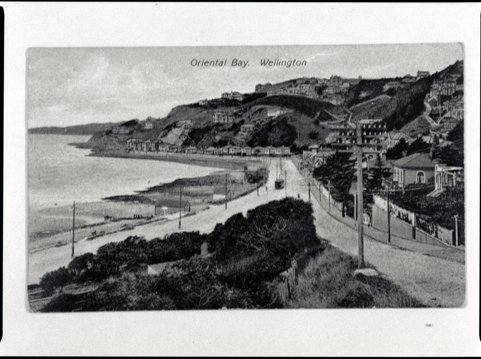 Oriental Bay, Wellington