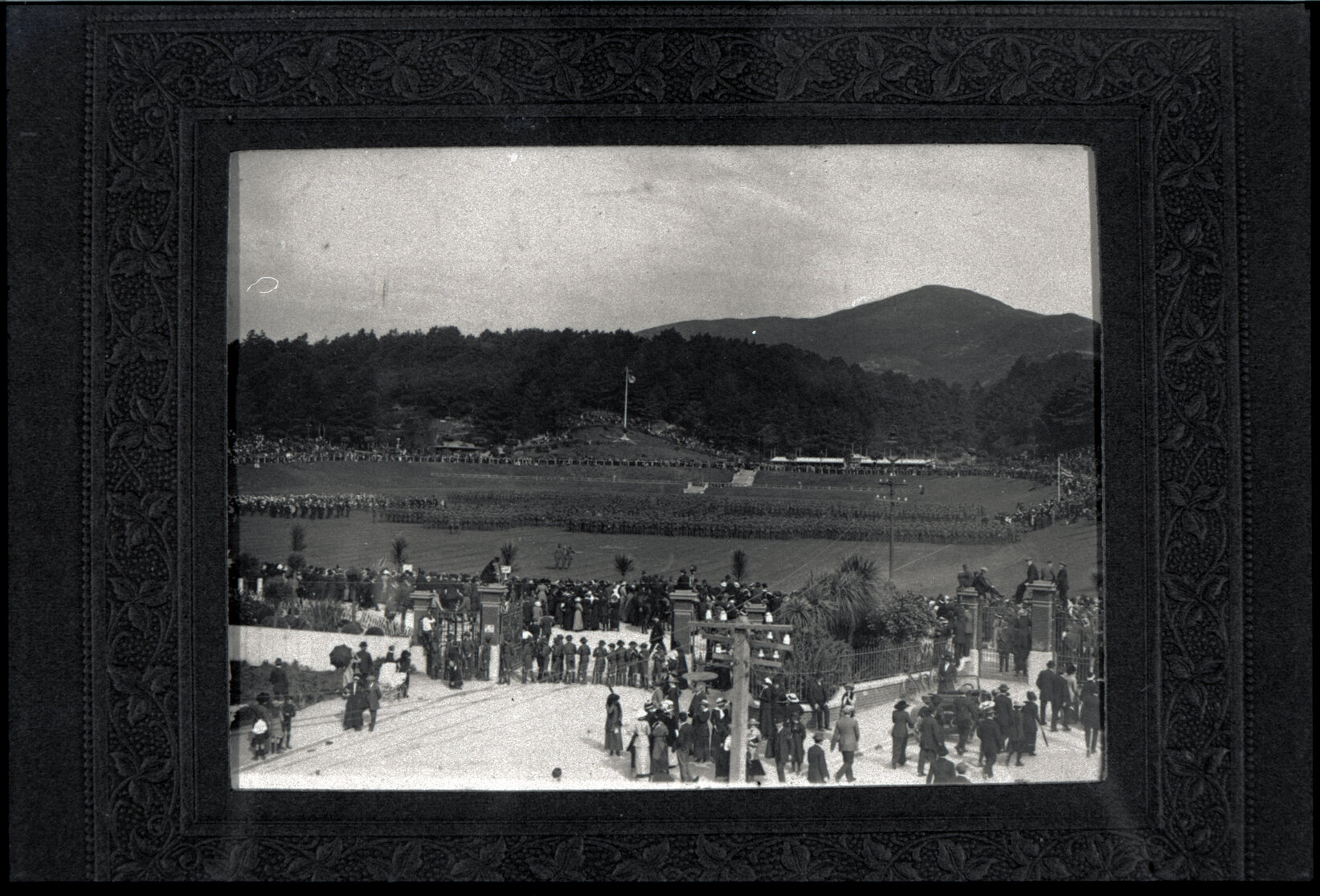 Copies: Newtown Park