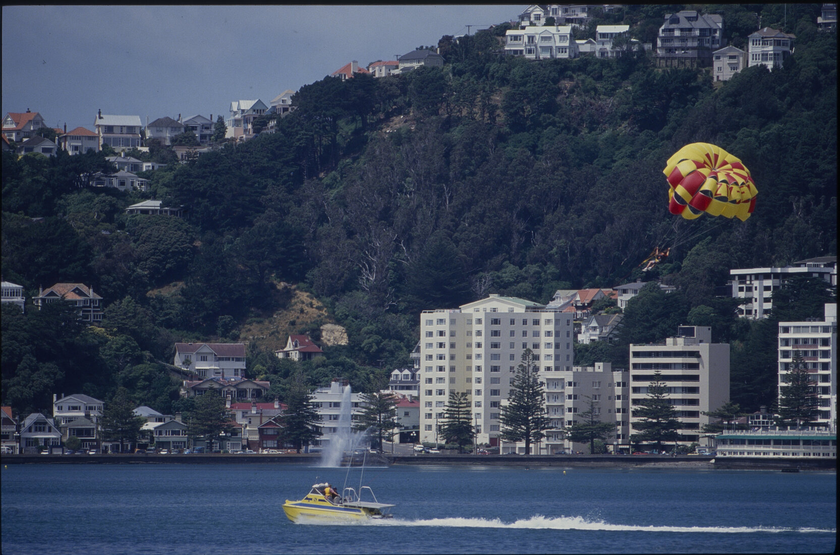 Paraglider on Oriental Bay