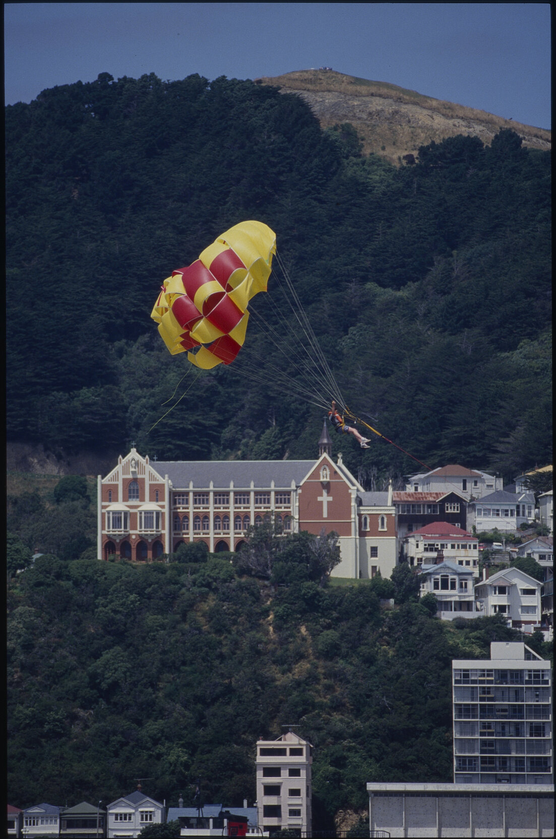 Paraglider on Oriental Bay