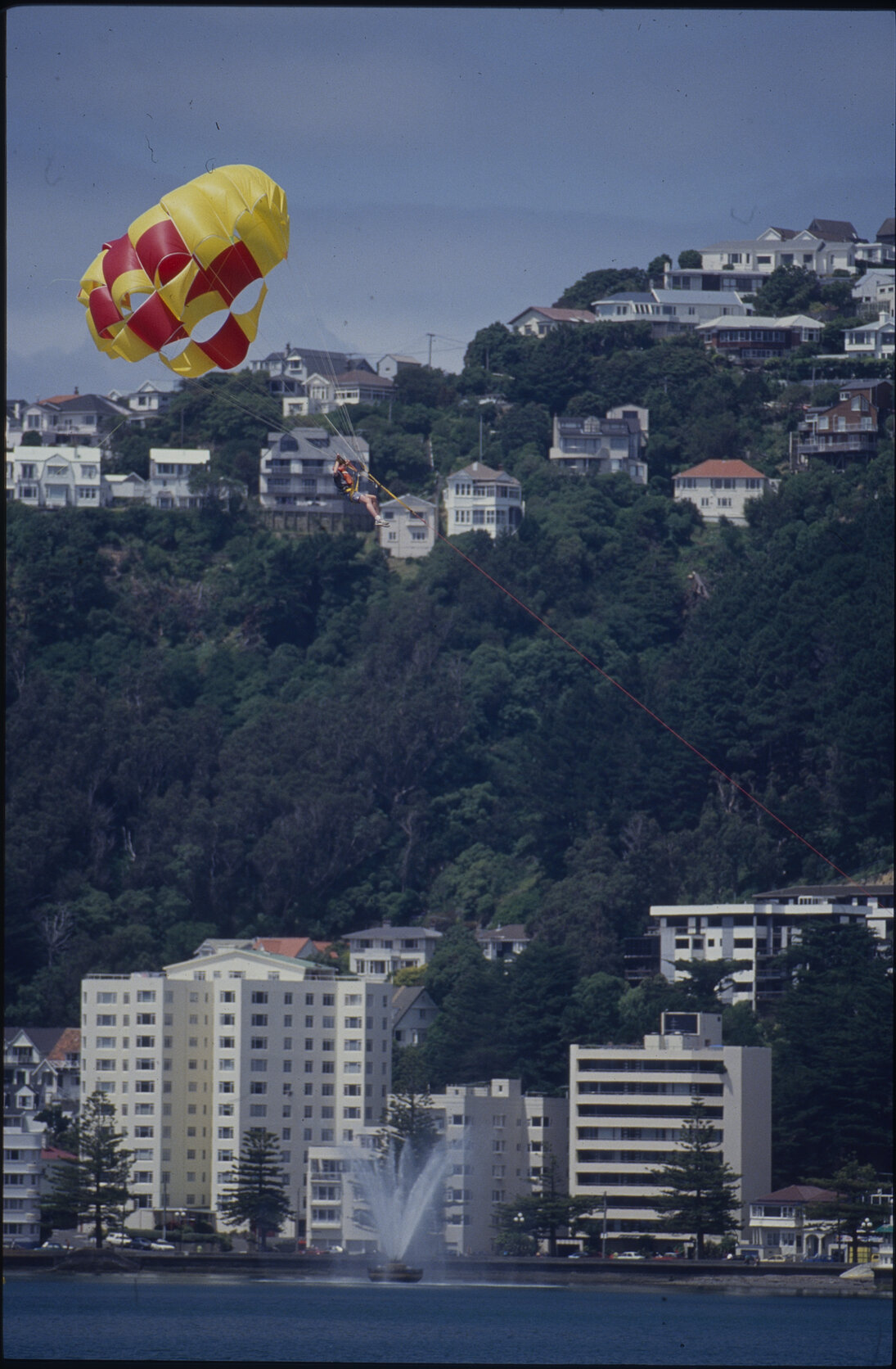 Paraglider on Oriental Bay