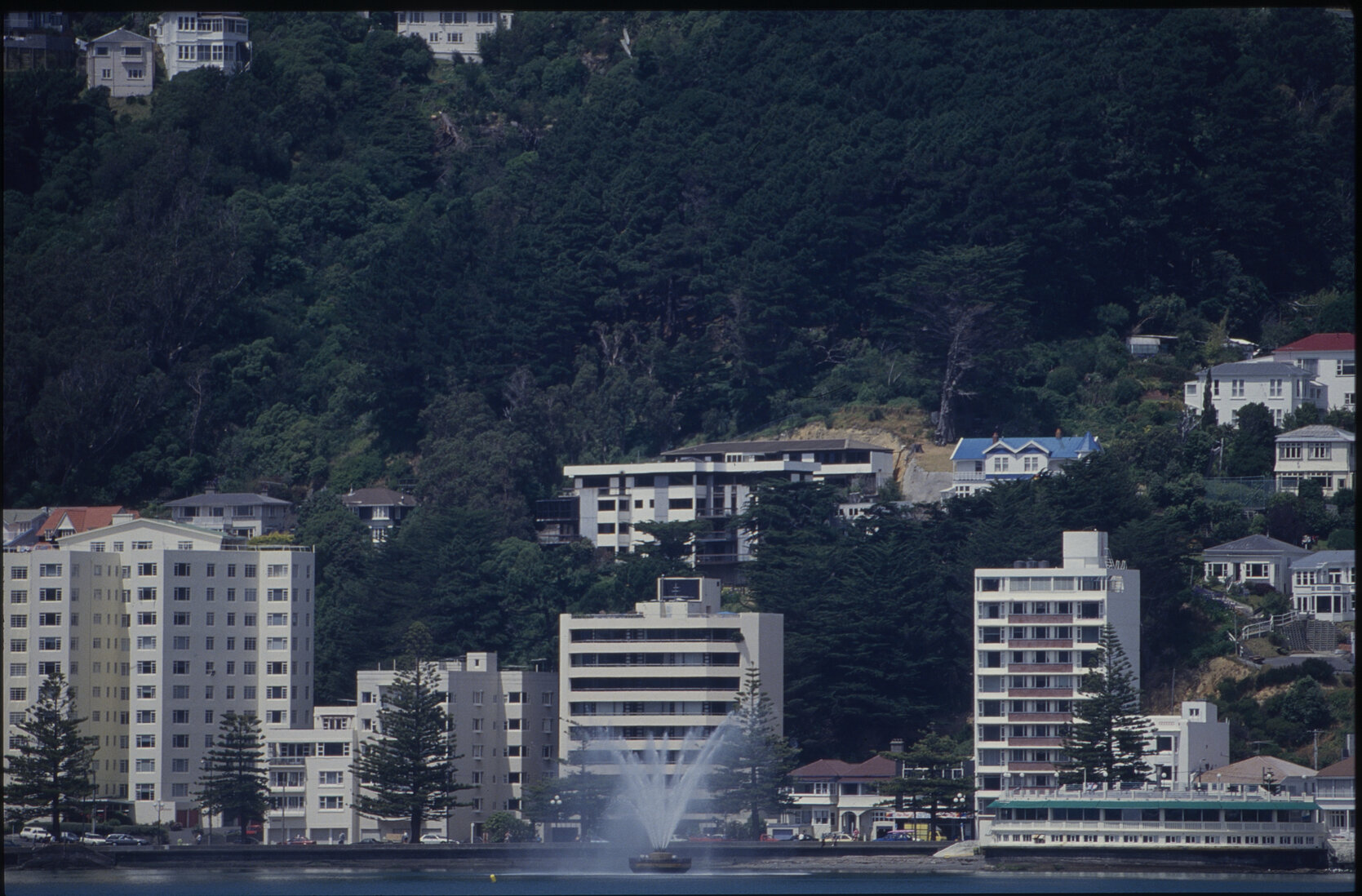 Panoramas - Oriental Bay