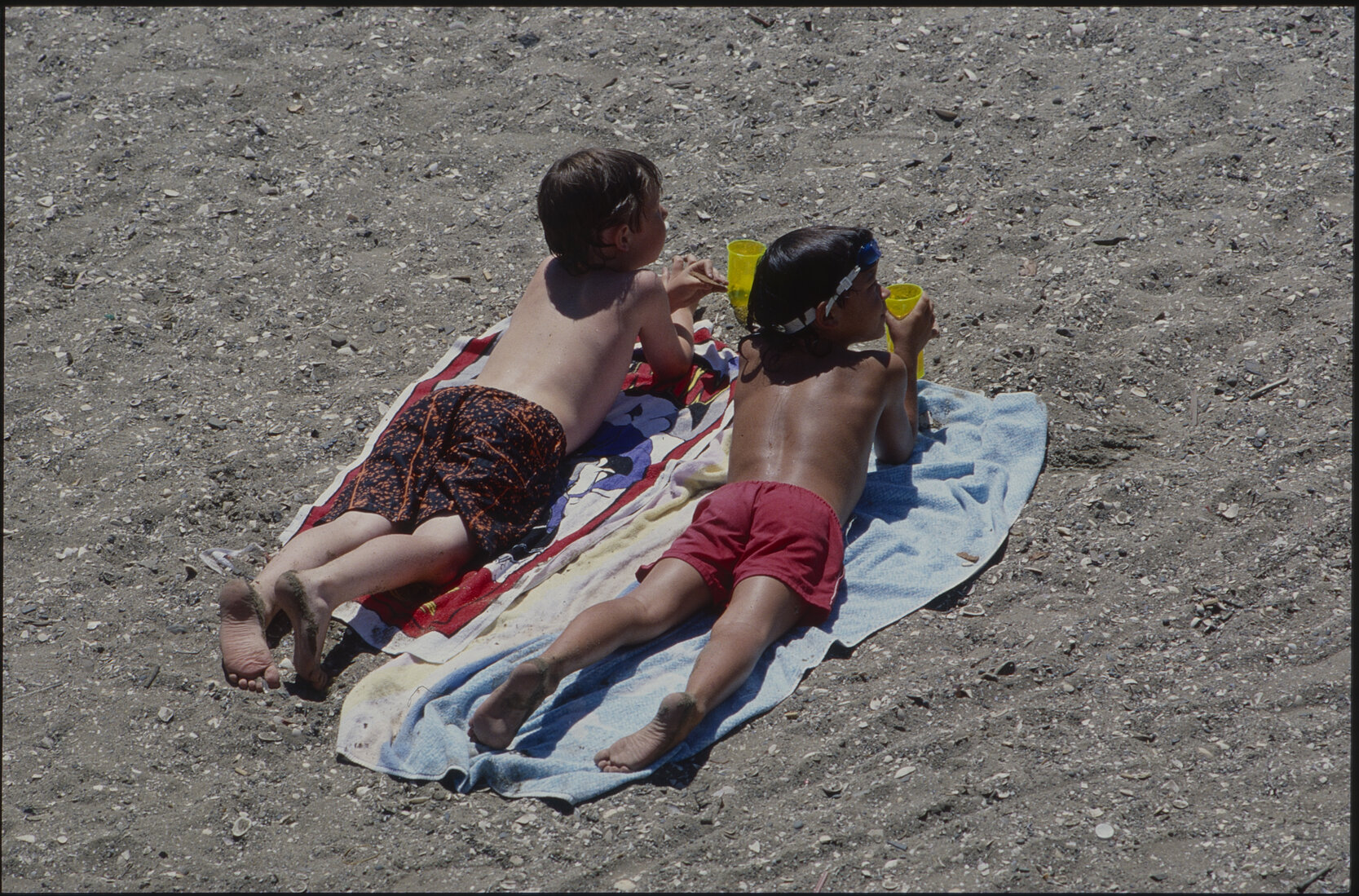 Parks and Recreation - Summer City Programmes