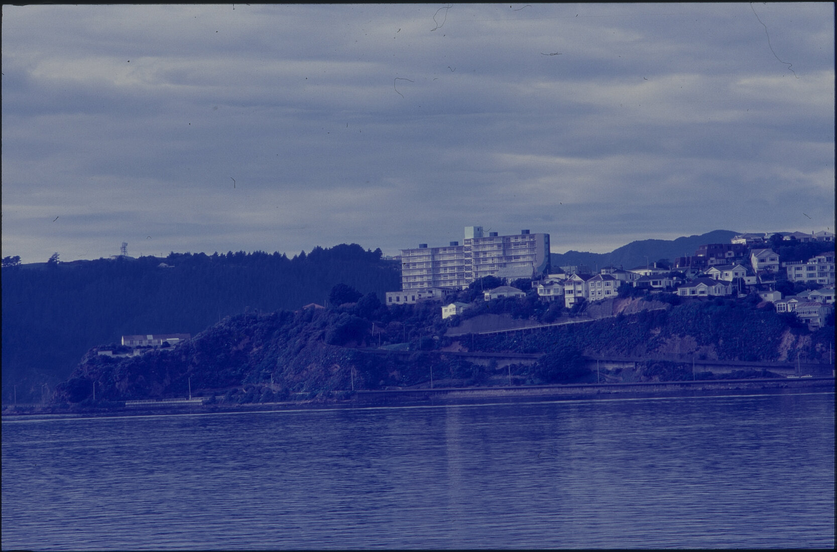 Panoramas - Oriental Bay