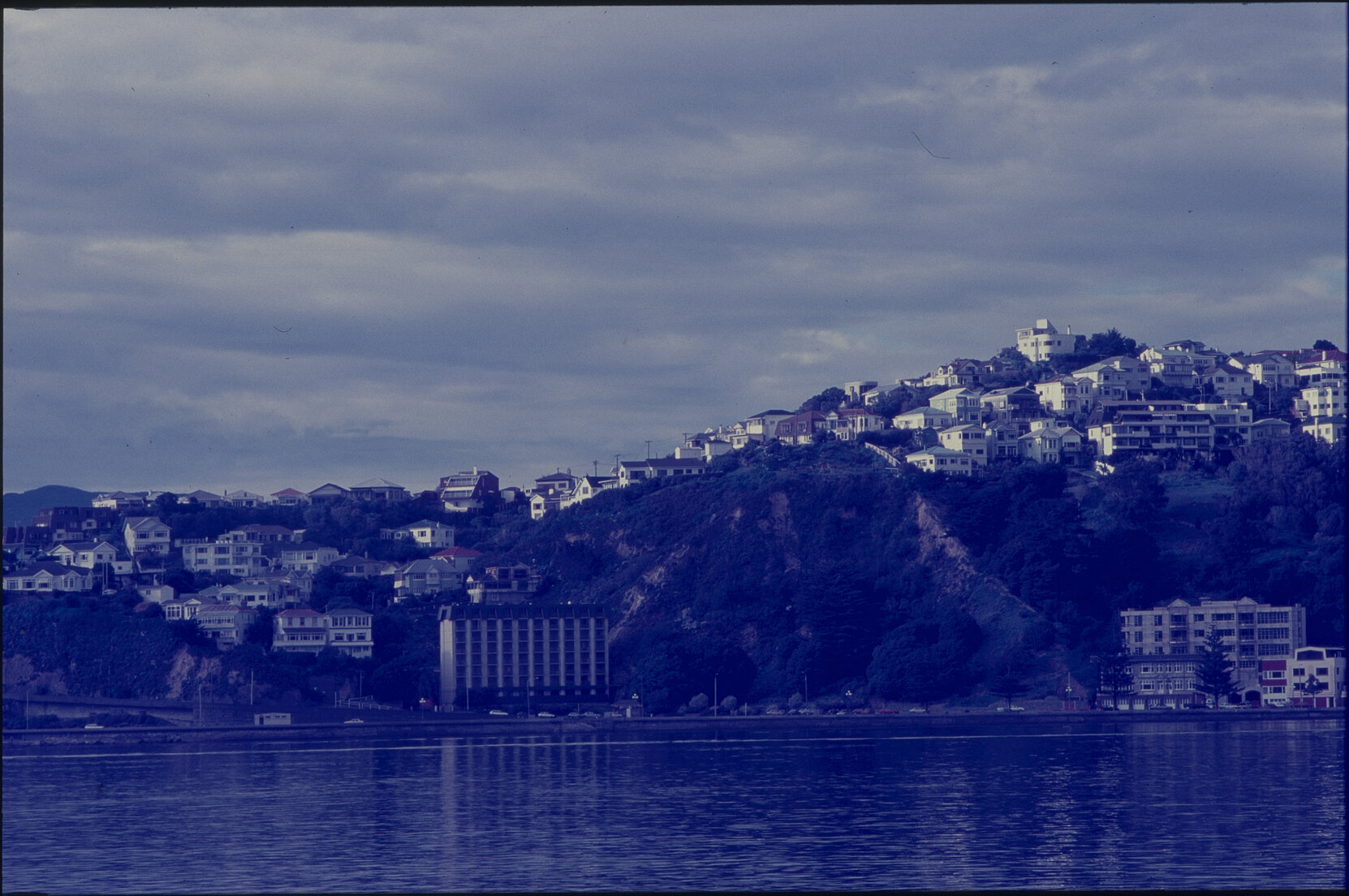 Panoramas - Oriental Bay