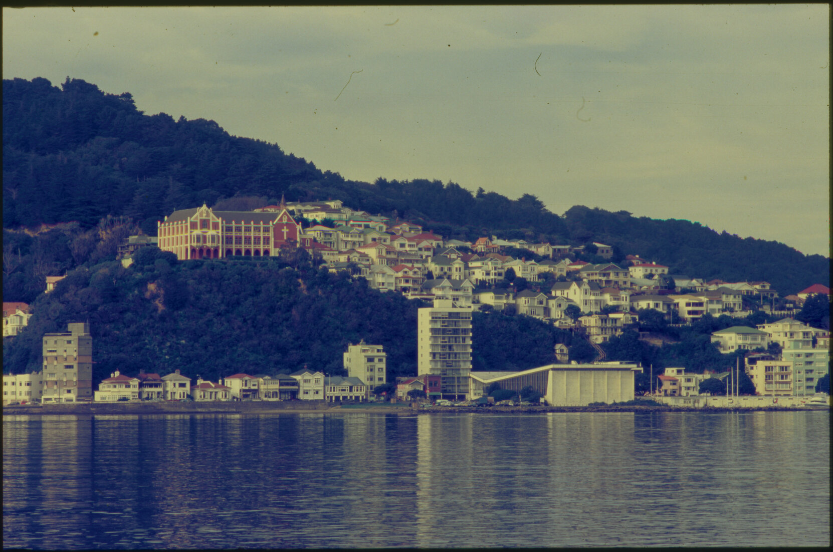 Panoramas - Oriental Bay