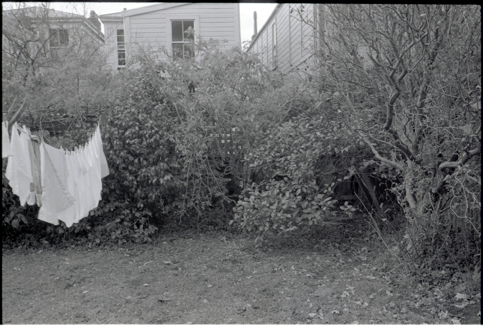 8 and 10 Burnell Avenue