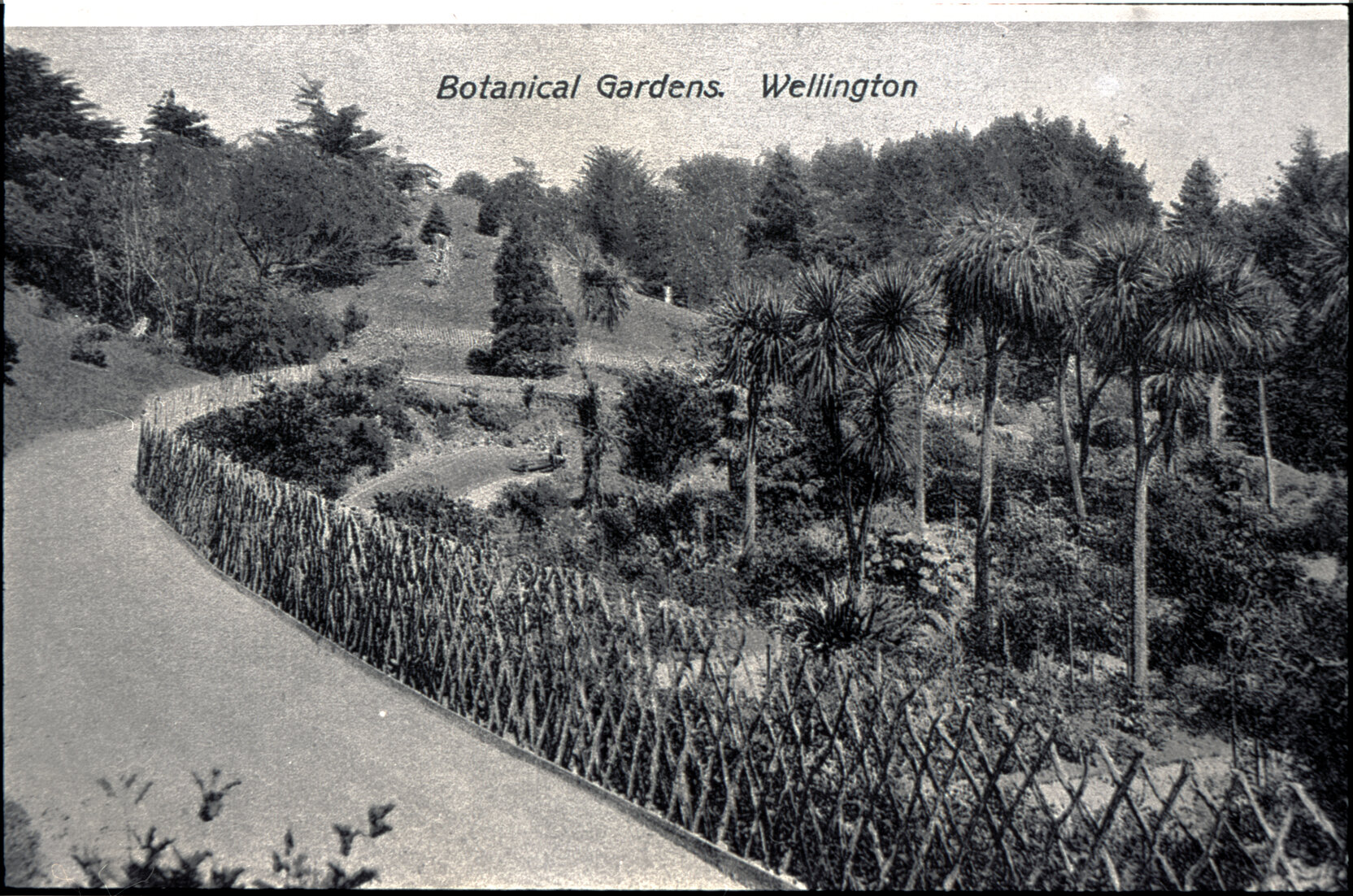 Postcard of Botanic Gardens