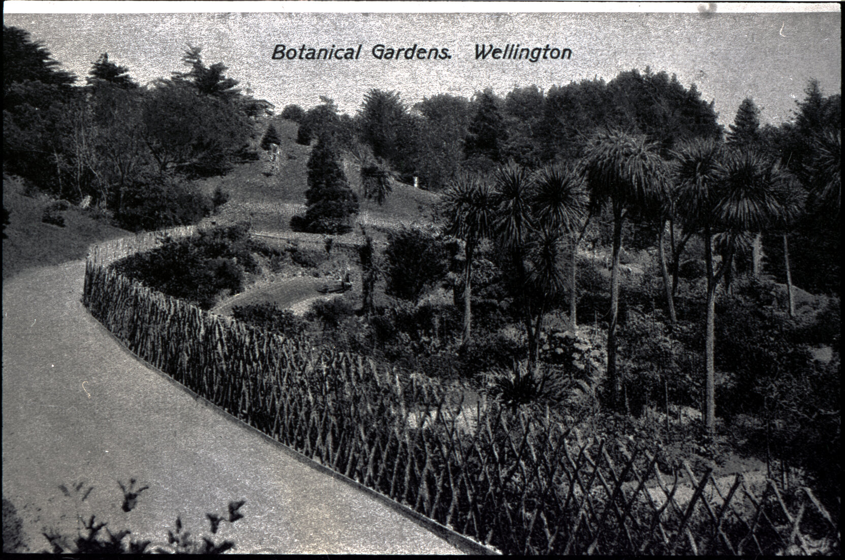 Postcard of Botanic Gardens