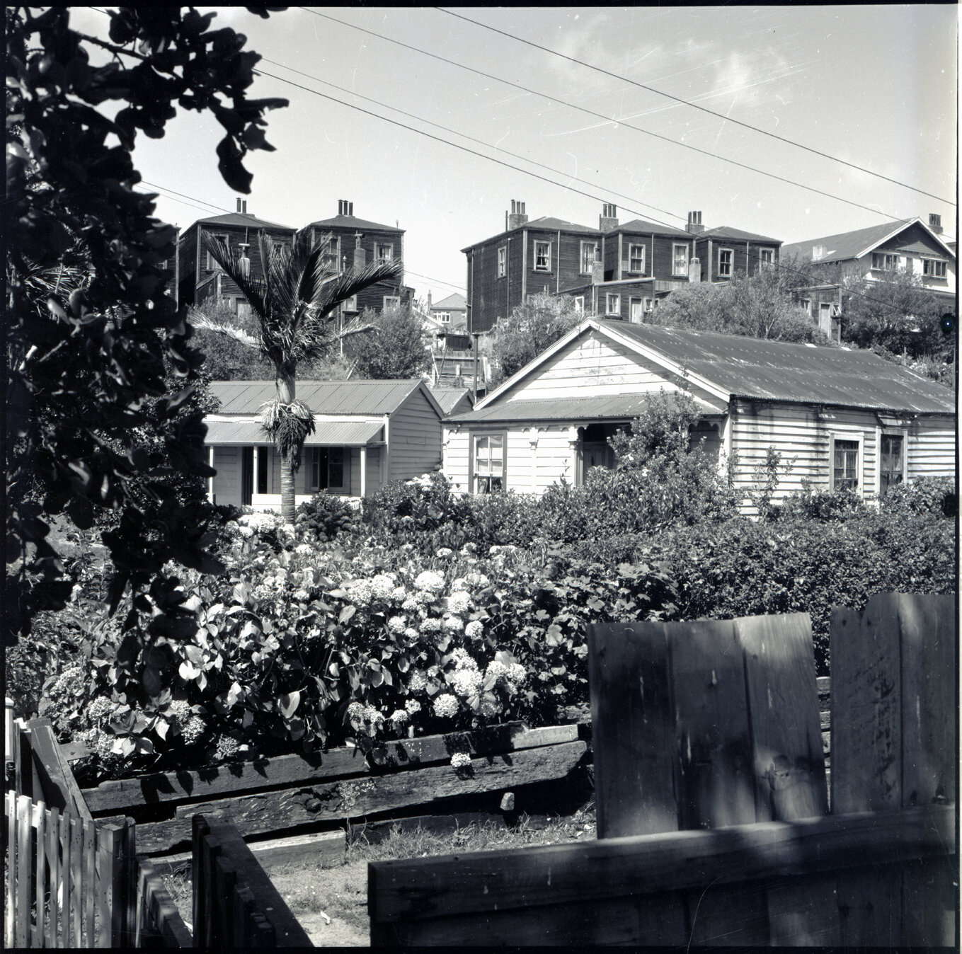 m. Two storey wooden dwellings on Nairn Street, from Brooklyn Road - the back of five of the 'seven sisters'