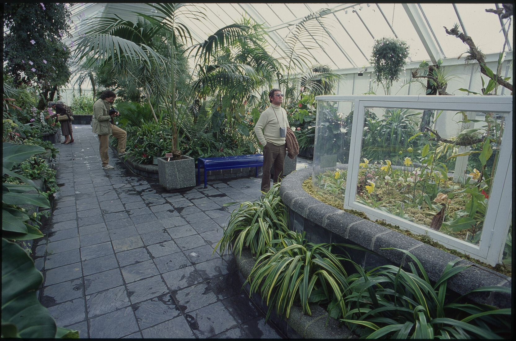 Parks and Gardens, Begonia House