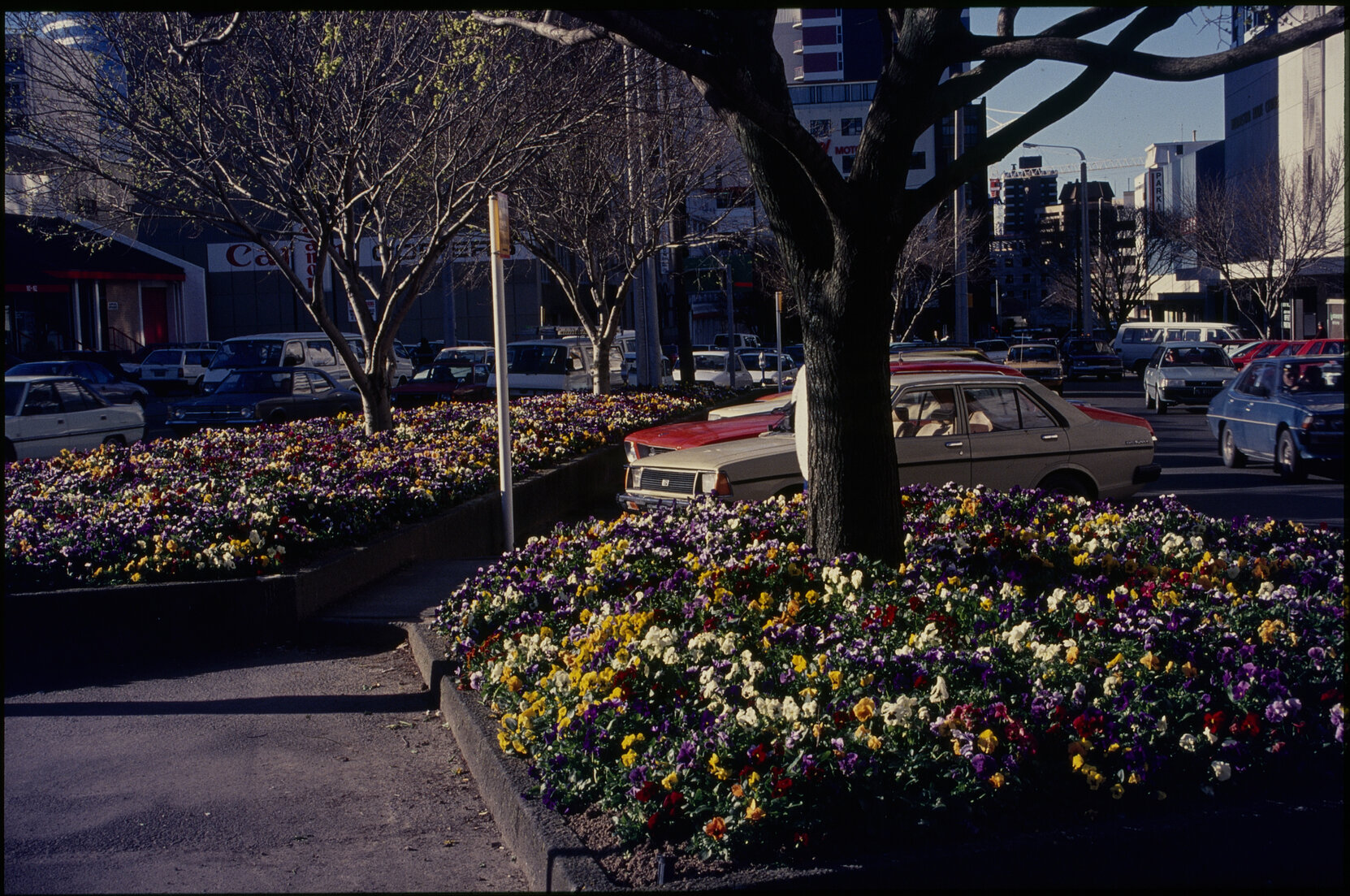 Corner of Victoria Street and Ghuznee Street