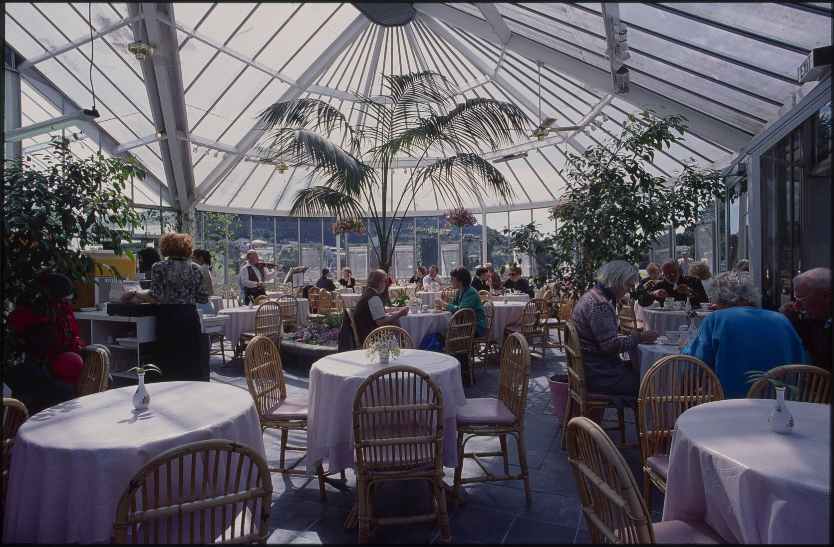 Parks and Recreation - Botanical Gardens: Begonia House