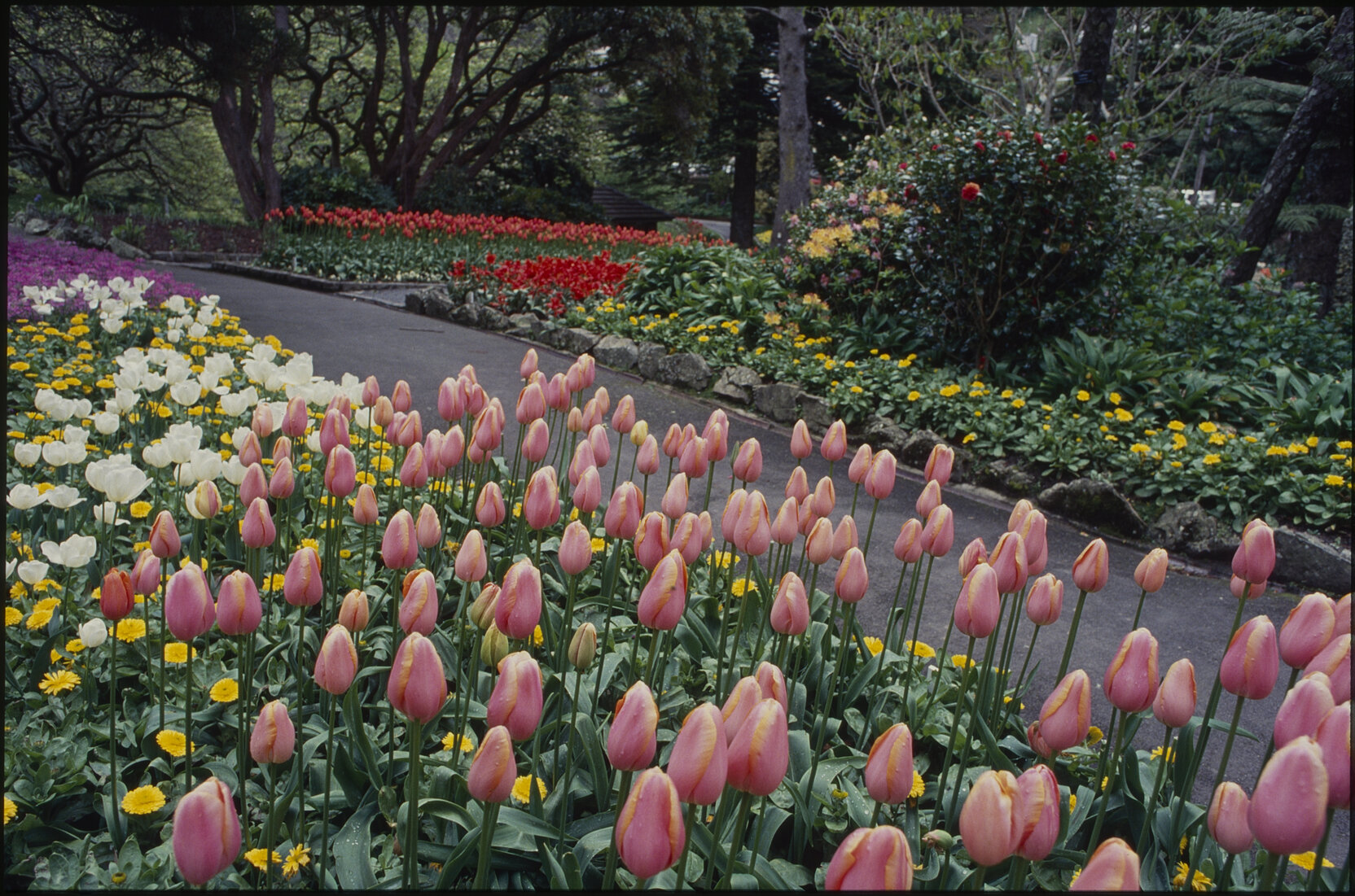 Parks and Recreation - Botanical Gardens: Begonia House