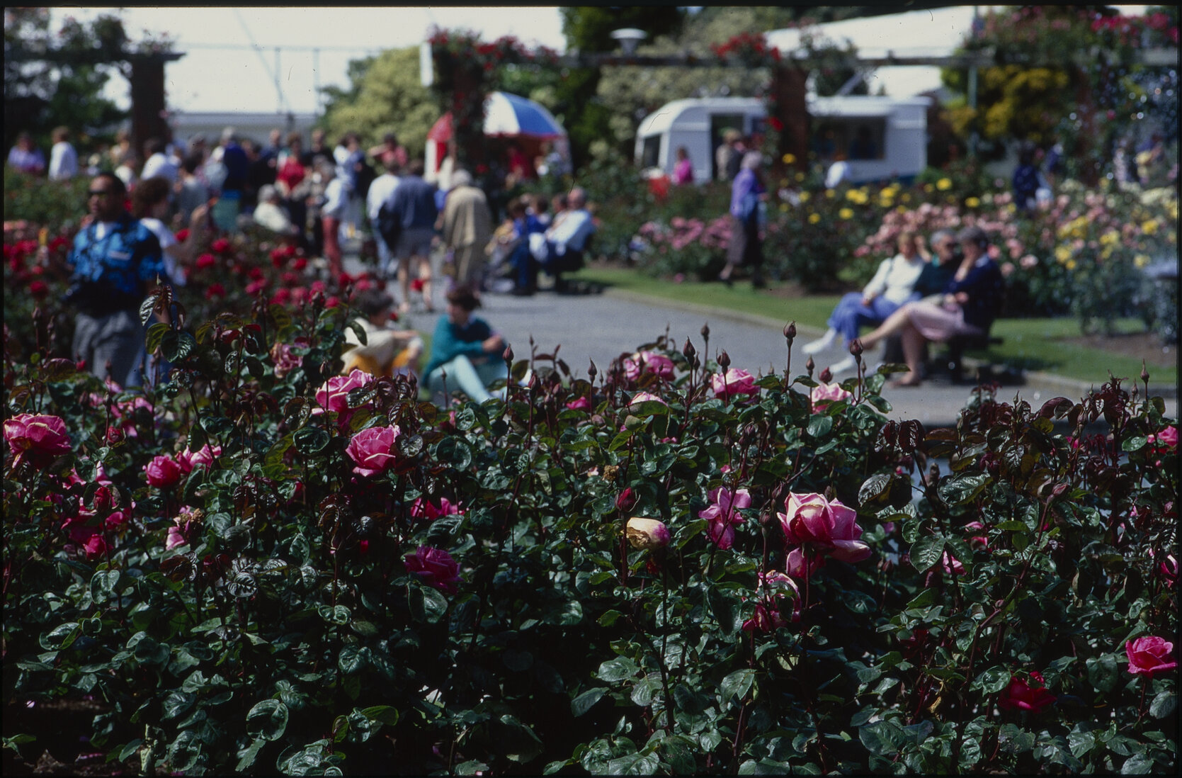 Parks and Recreation - Botanical Gardens: Floriade