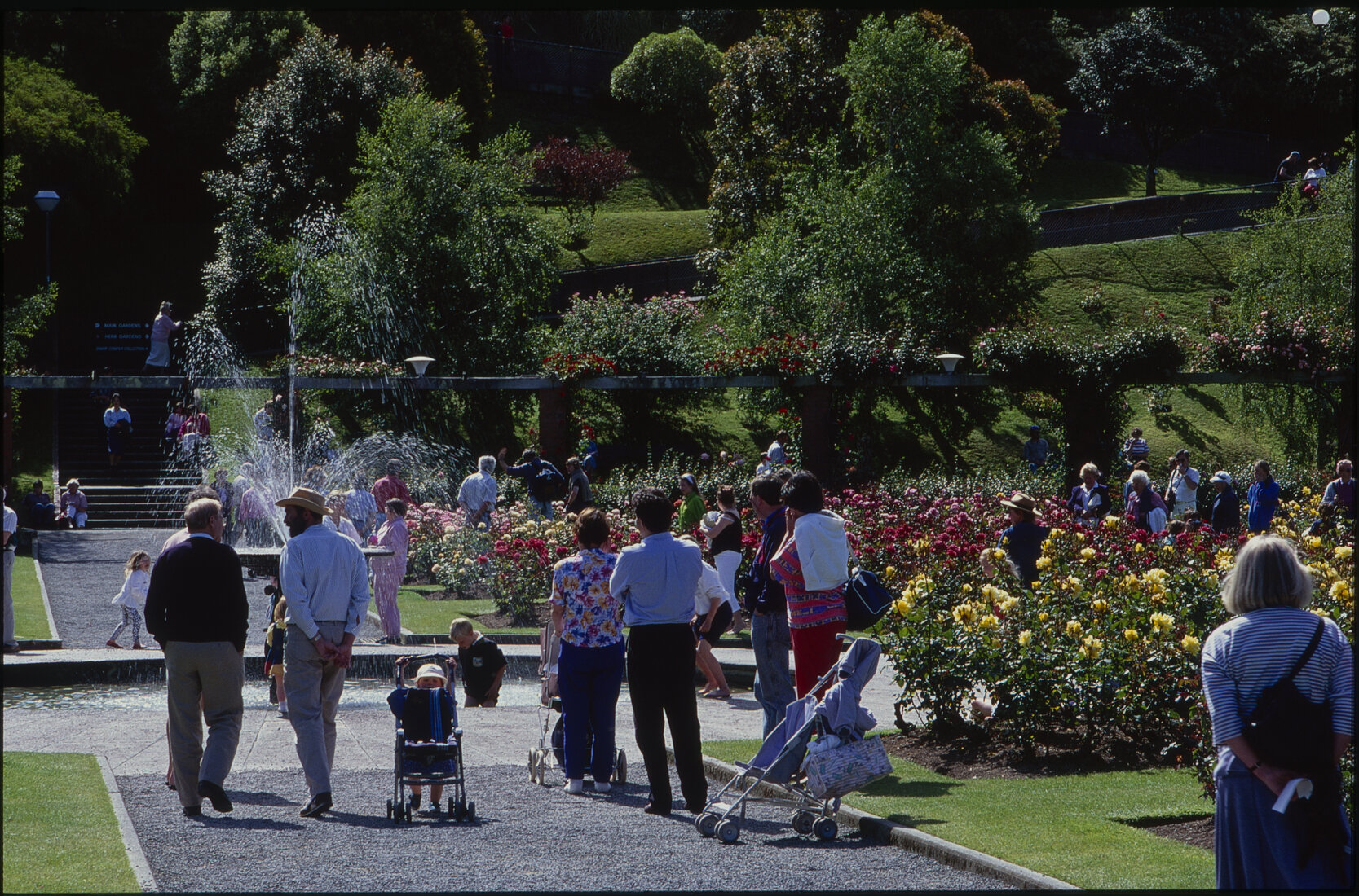 Parks and Recreation - Botanical Gardens: Floriade