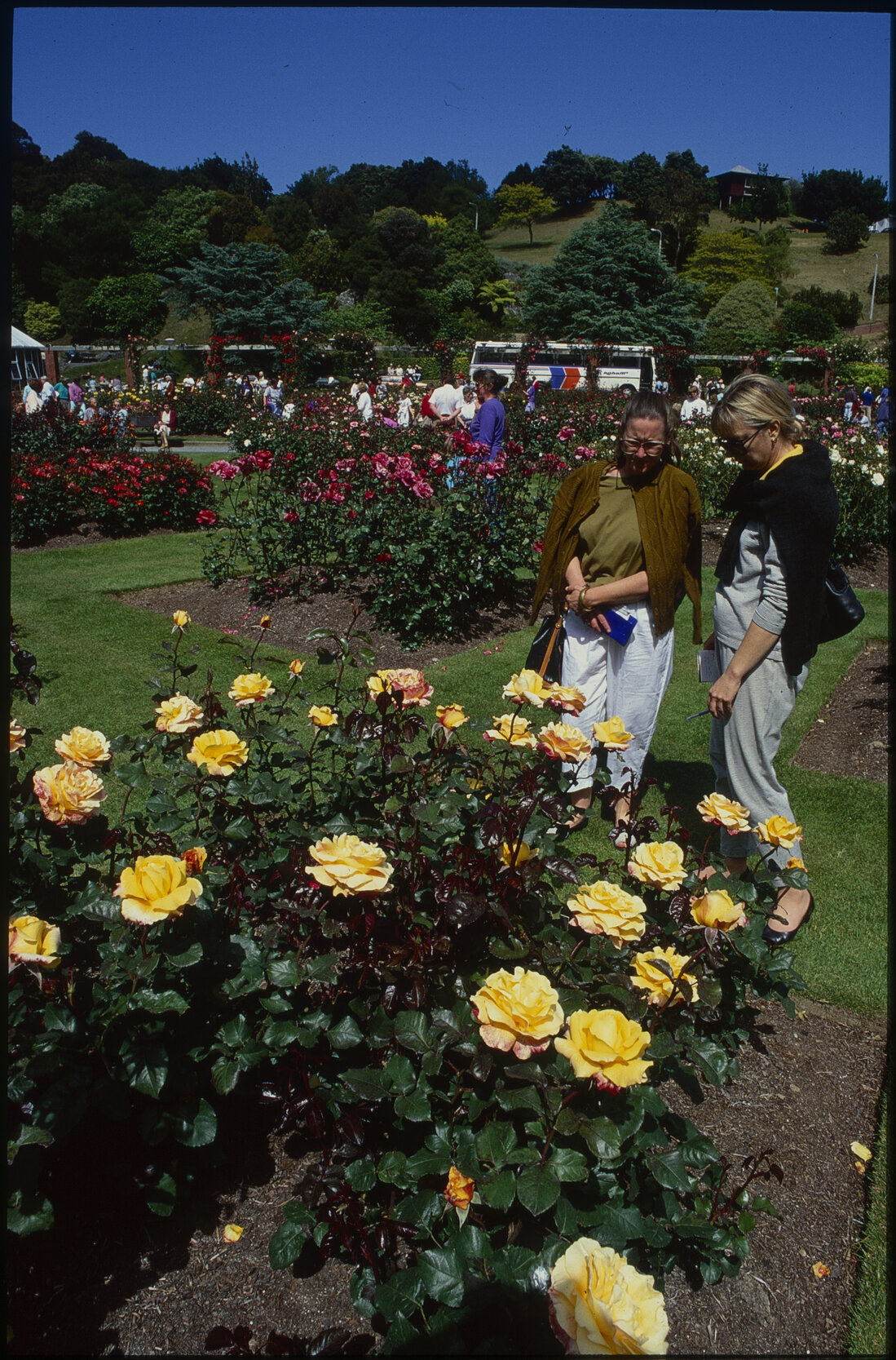 Parks and Recreation - Botanical Gardens: Floriade