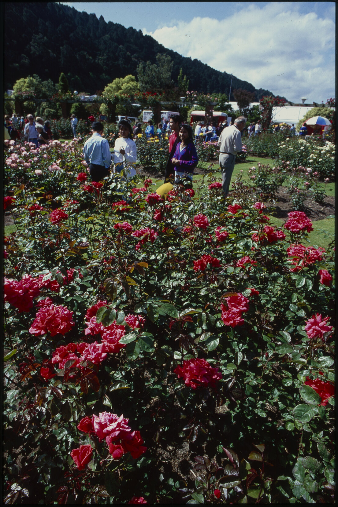 Parks and Recreation - Botanical Gardens: Floriade