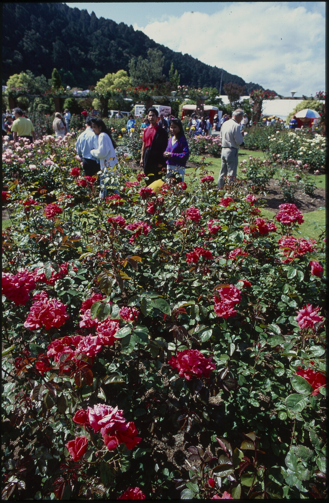Parks and Recreation - Botanical Gardens: Floriade