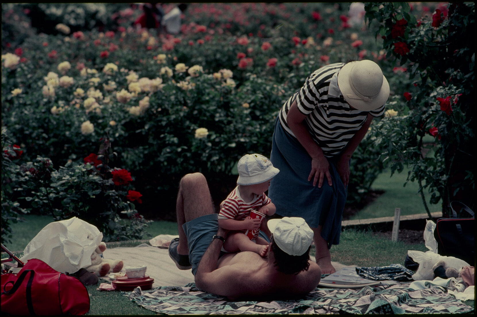 Parks and Recreation - Botanical Gardens: Rose Gardens