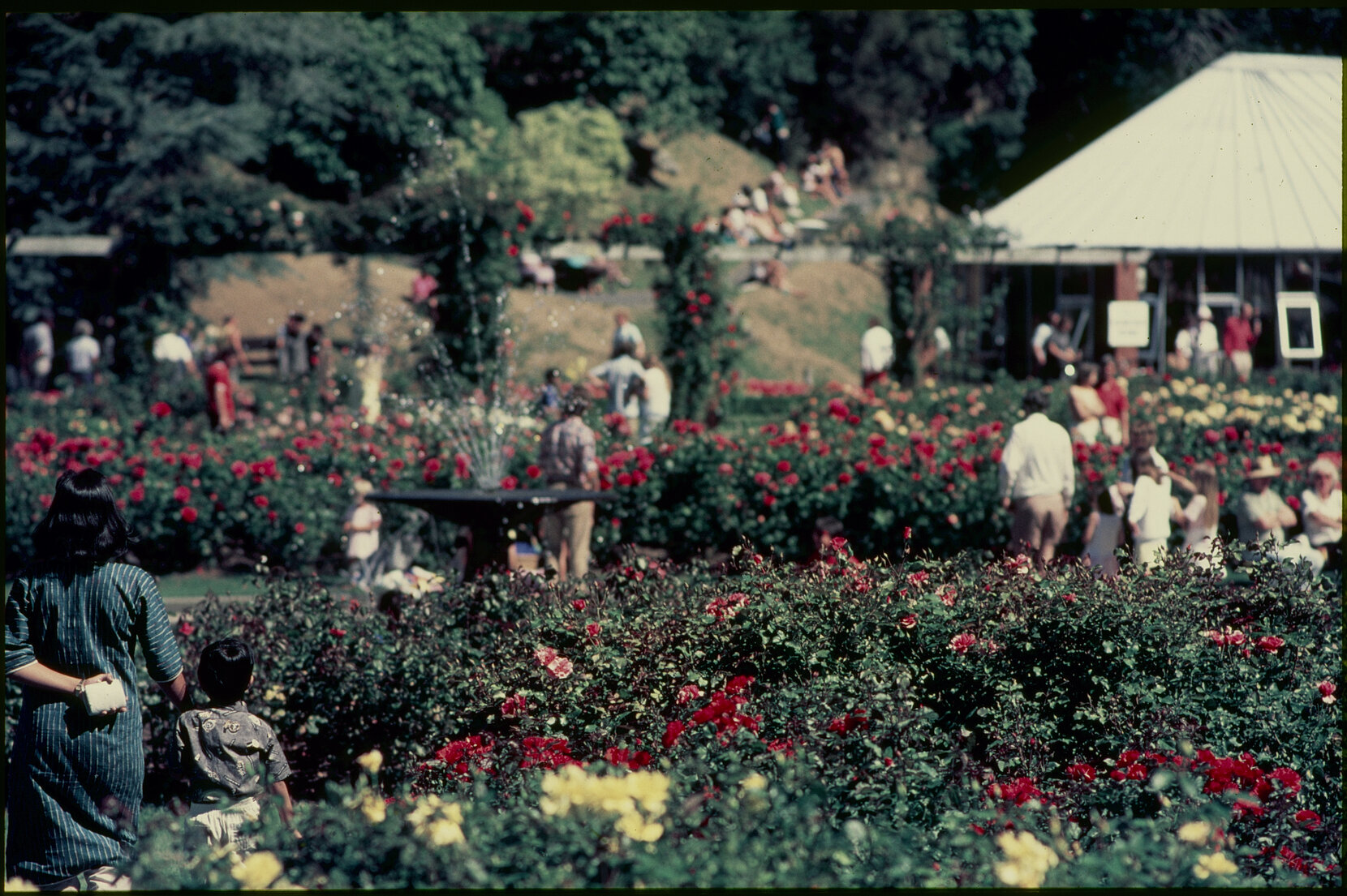 Parks and Recreation - Botanical Gardens: Rose Gardens
