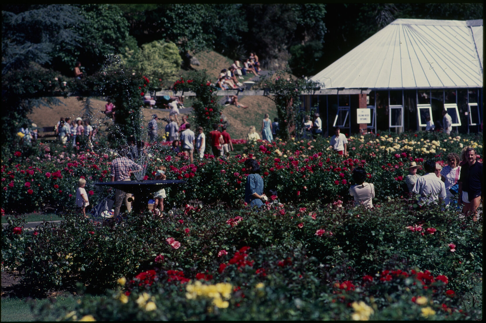 Parks and Recreation - Botanical Gardens: Rose Gardens