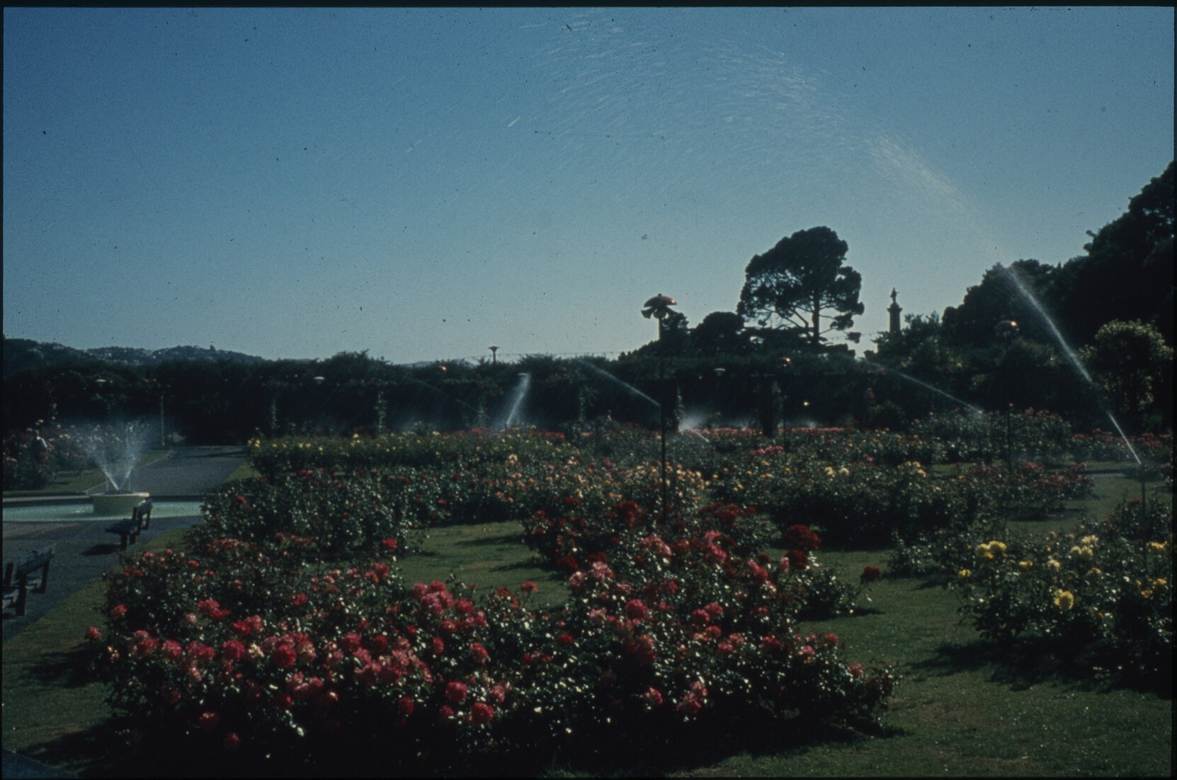Parks and Recreation - Botanical Gardens: Rose Gardens