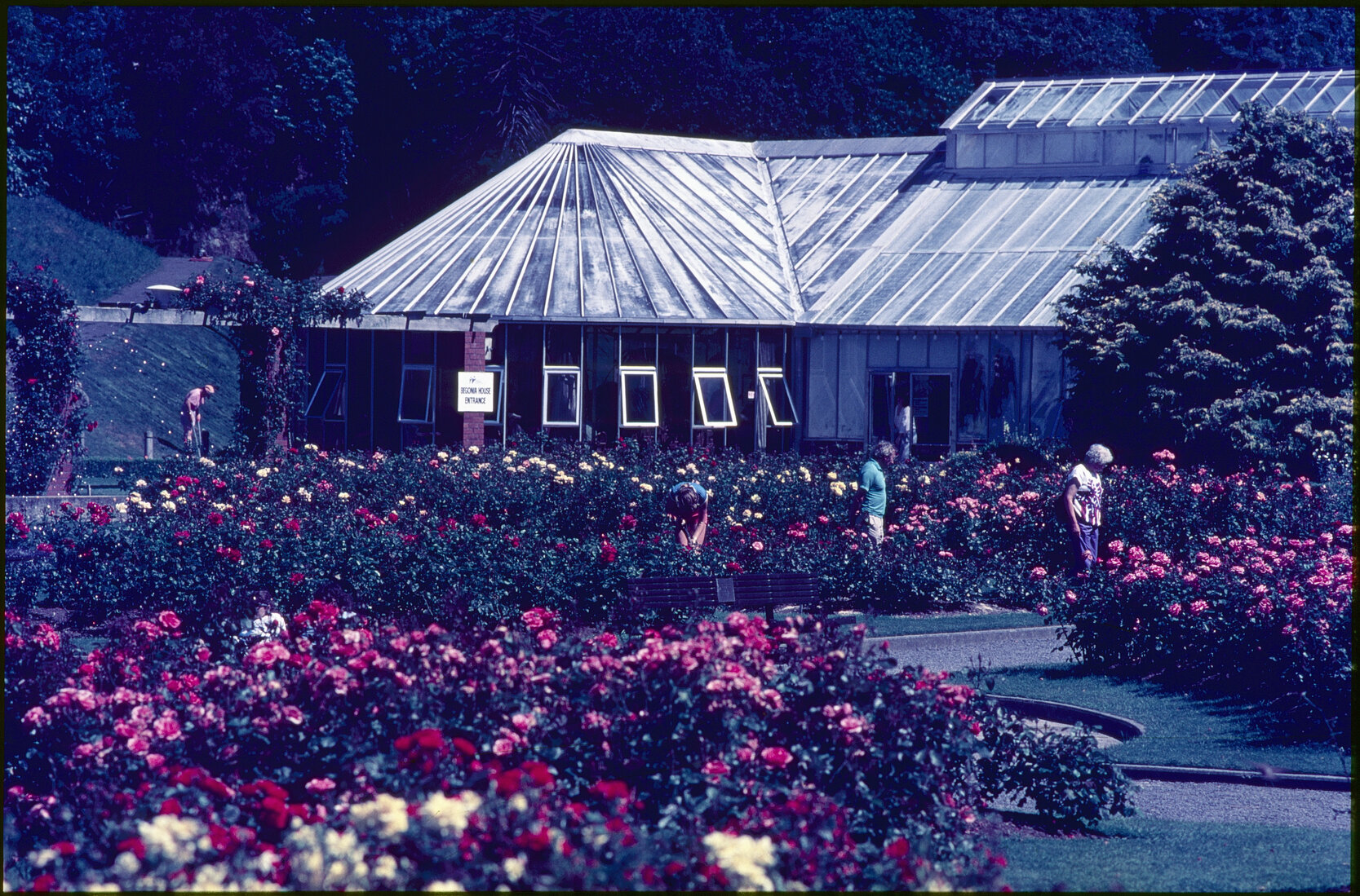 Parks and Recreation - Botanical Gardens: Rose Gardens