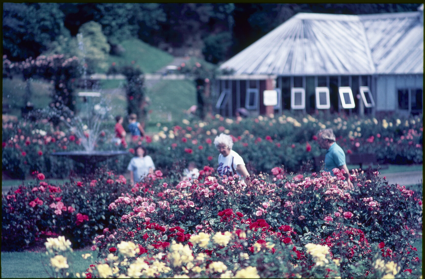 Parks and Recreation - Botanical Gardens: Rose Gardens