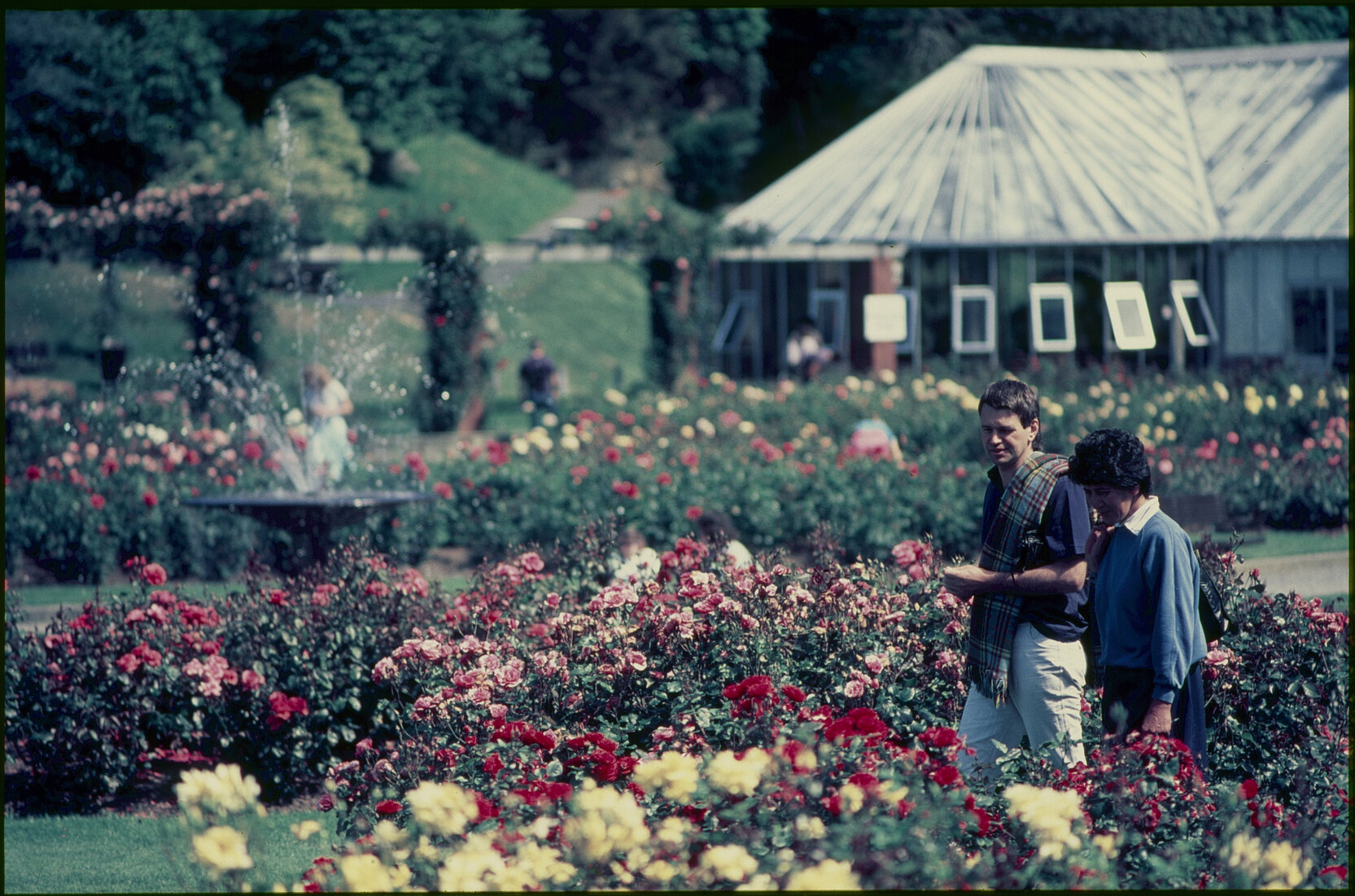Parks and Recreation - Botanical Gardens: Rose Gardens