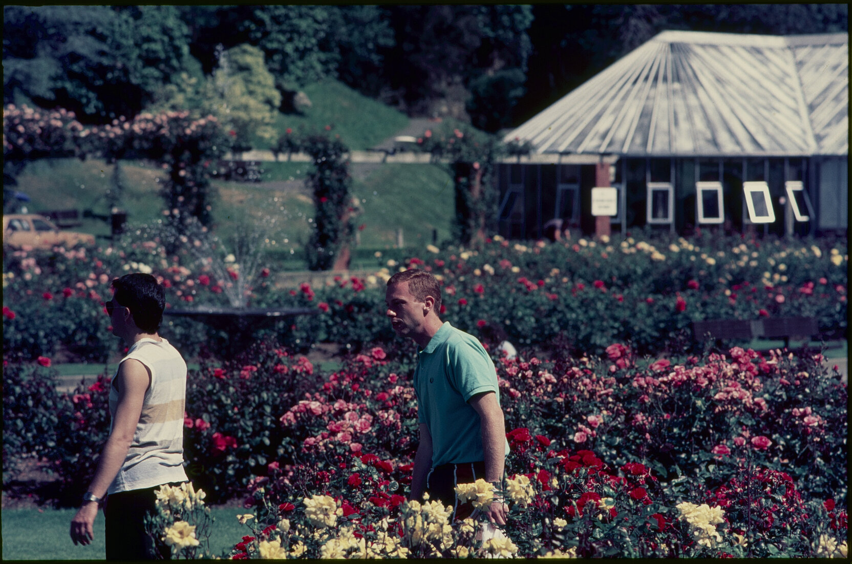 Parks and Recreation - Botanical Gardens: Rose Gardens