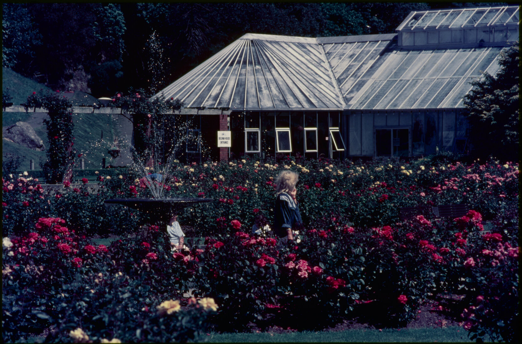 Parks and Recreation - Botanical Gardens: Rose Gardens
