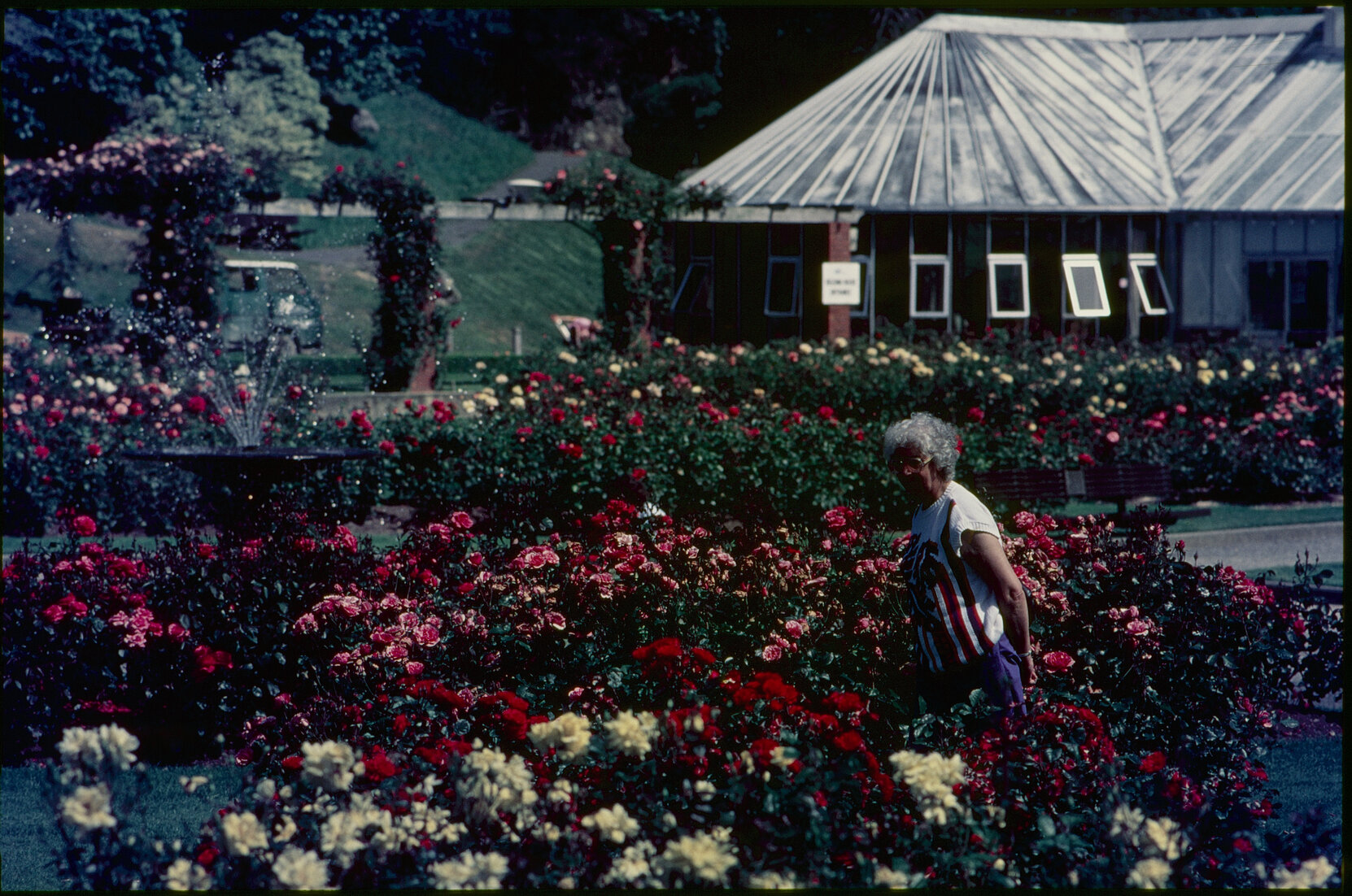 Parks and Recreation - Botanical Gardens: Rose Gardens
