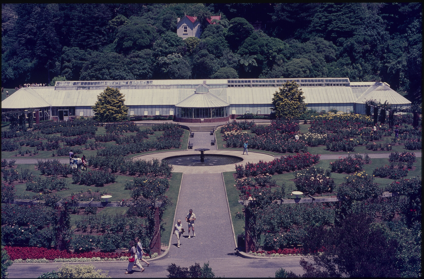 Parks and Recreation - Botanical Gardens: Rose Gardens