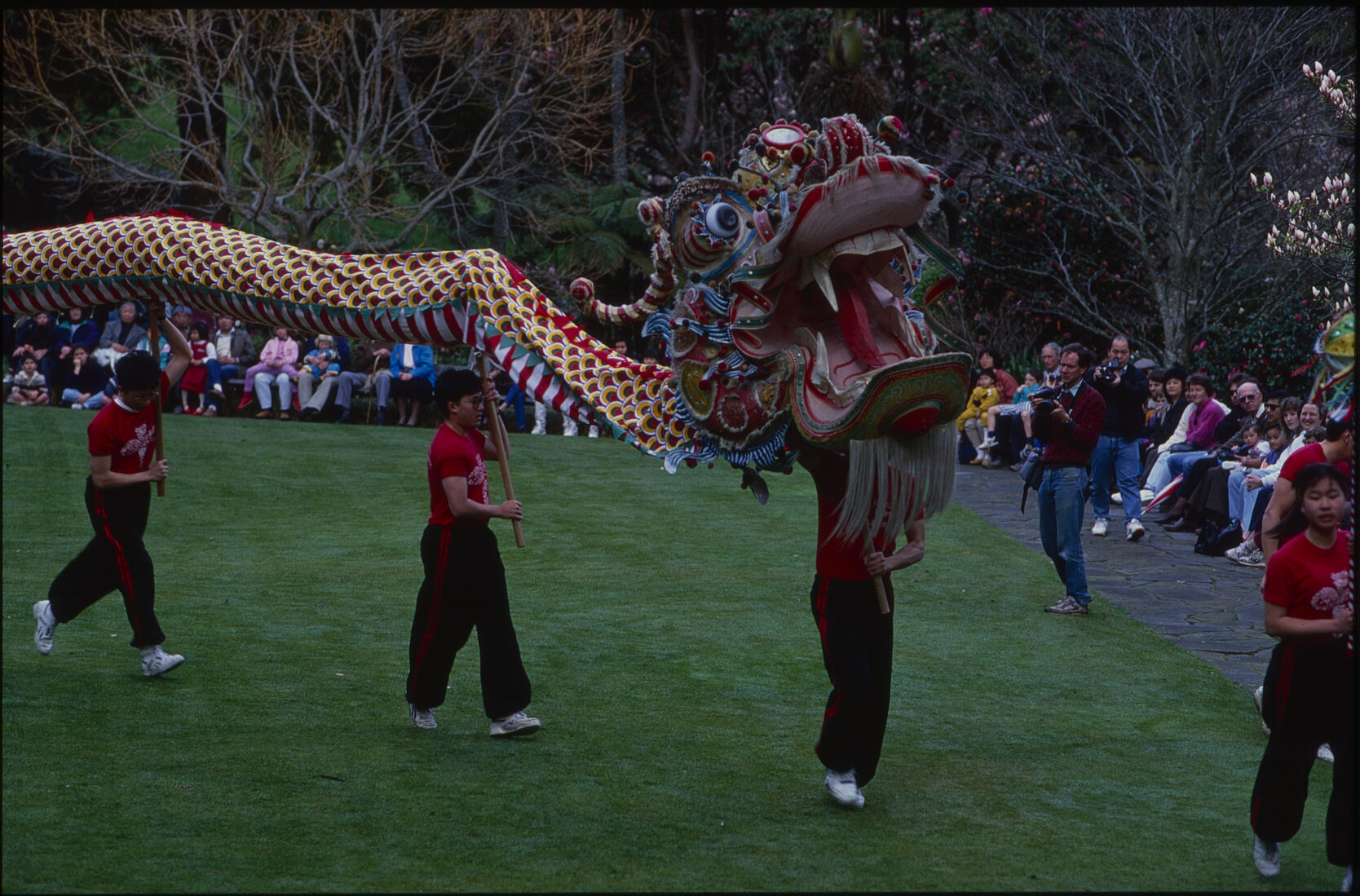Parks and Recreation - Dragon Dance Festival