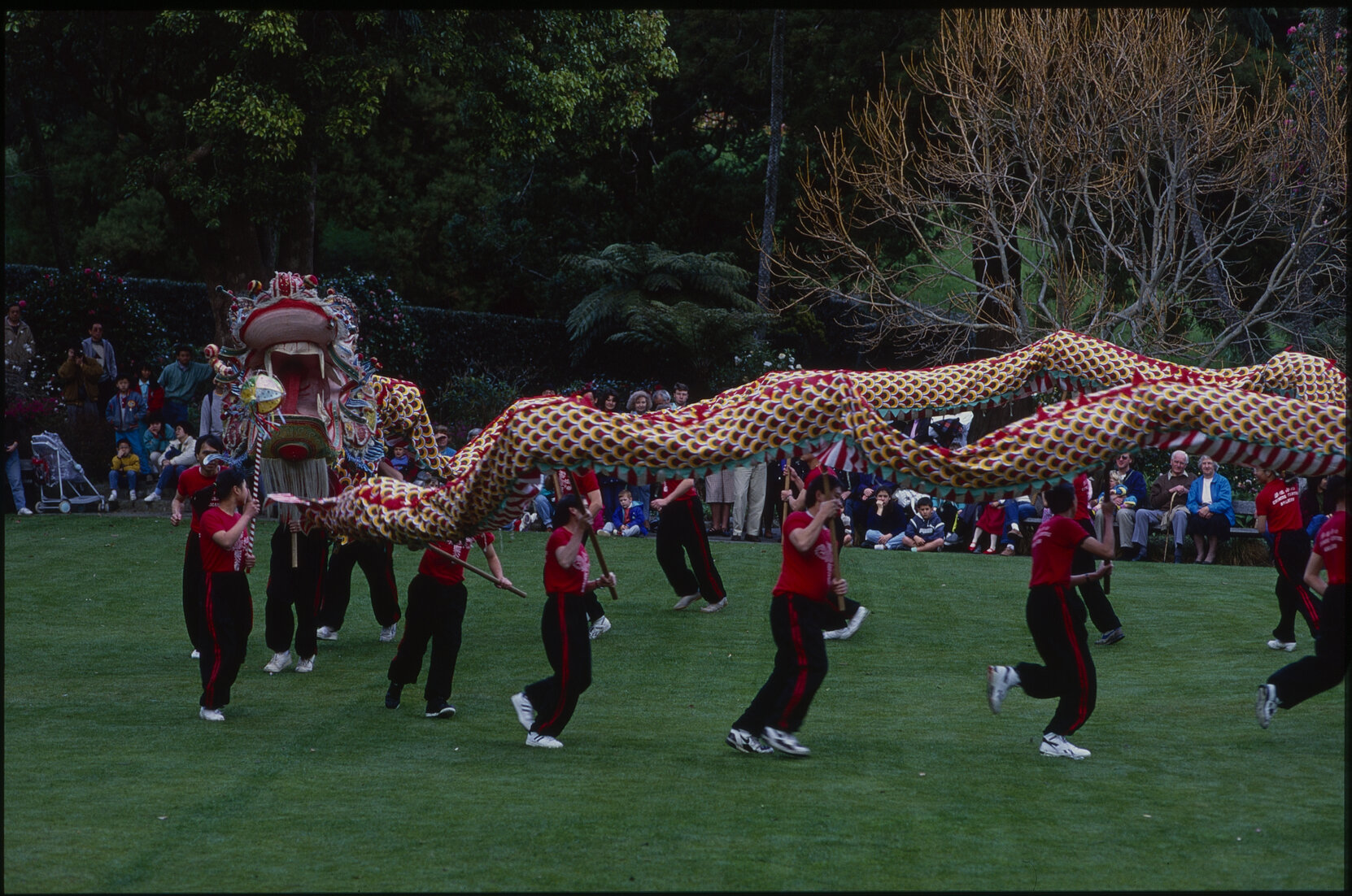 Parks and Recreation - Dragon Dance Festival