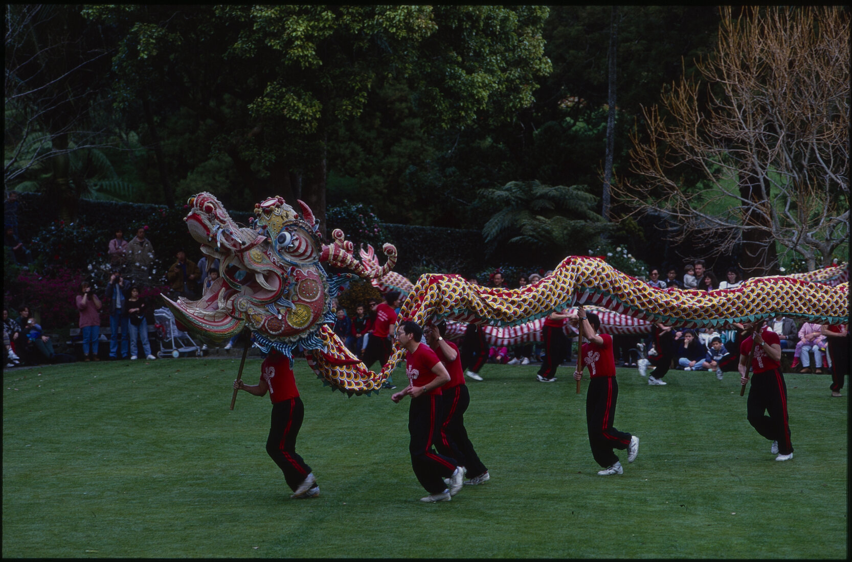 Parks and Recreation - Dragon Dance Festival