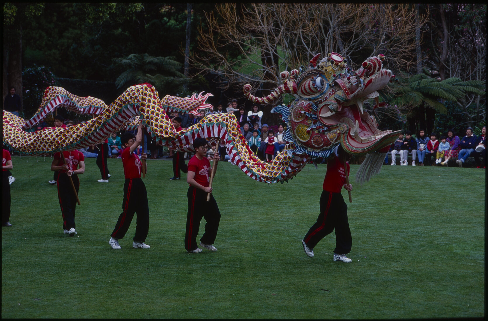 Parks and Recreation - Dragon Dance Festival
