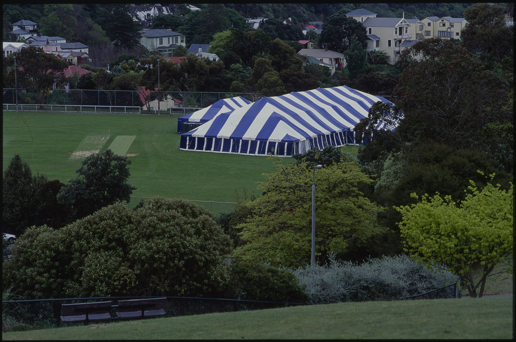 Parks and Recreation - Dragon Dance Festival