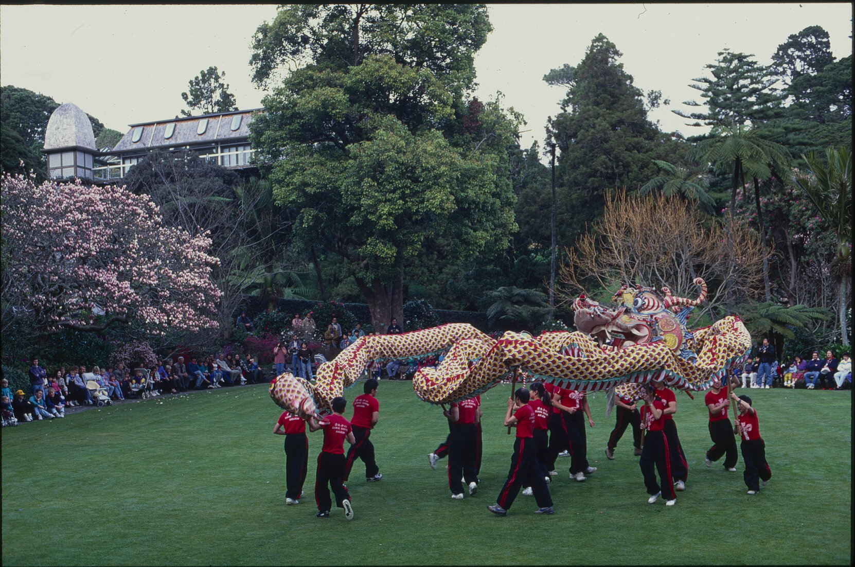 Parks and Recreation - Dragon Dance Festival
