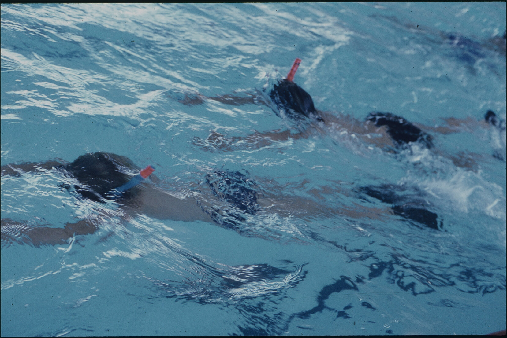 Summer City, Wellington Girls Pool