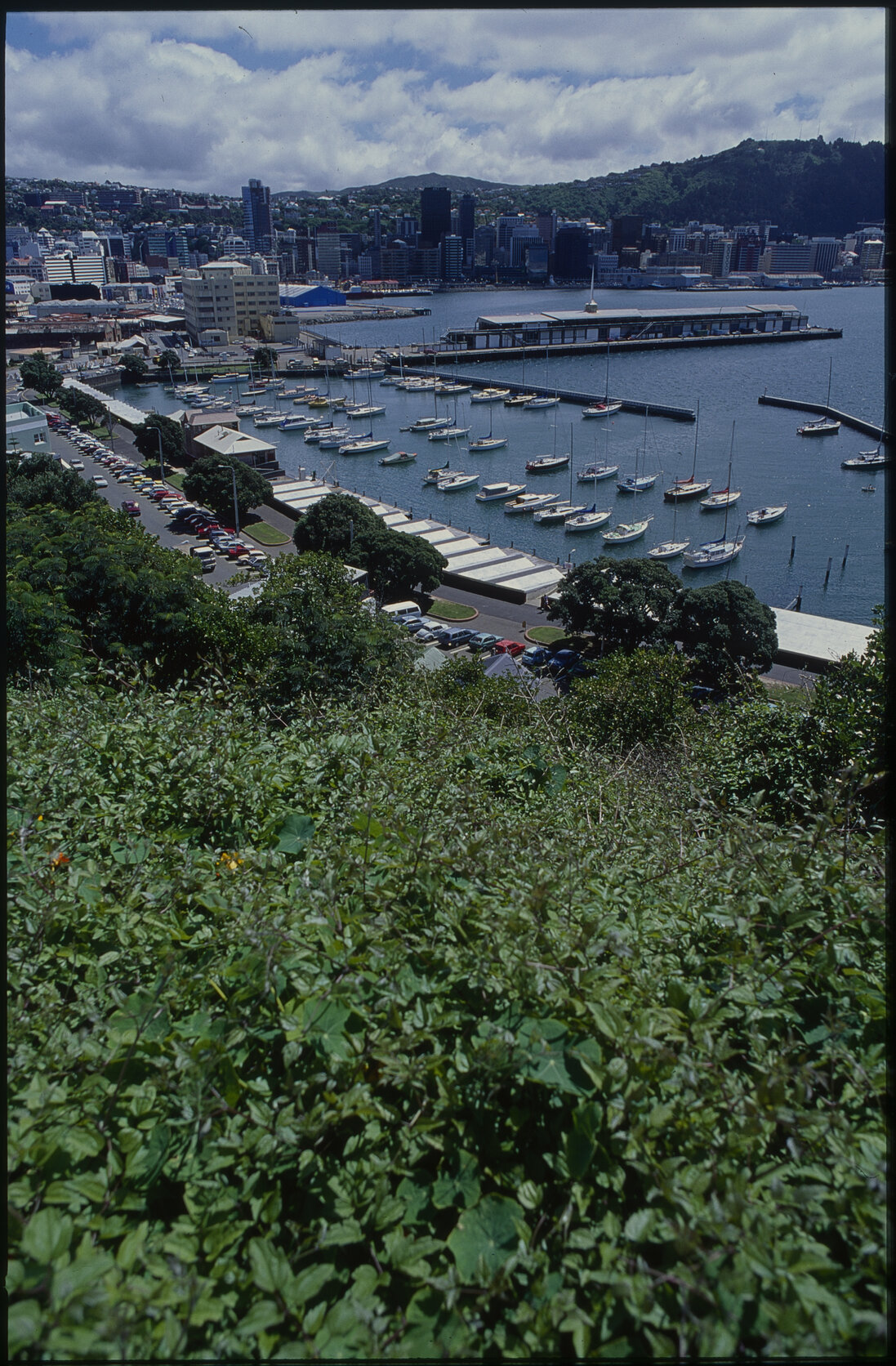 Panoramas - Harbour