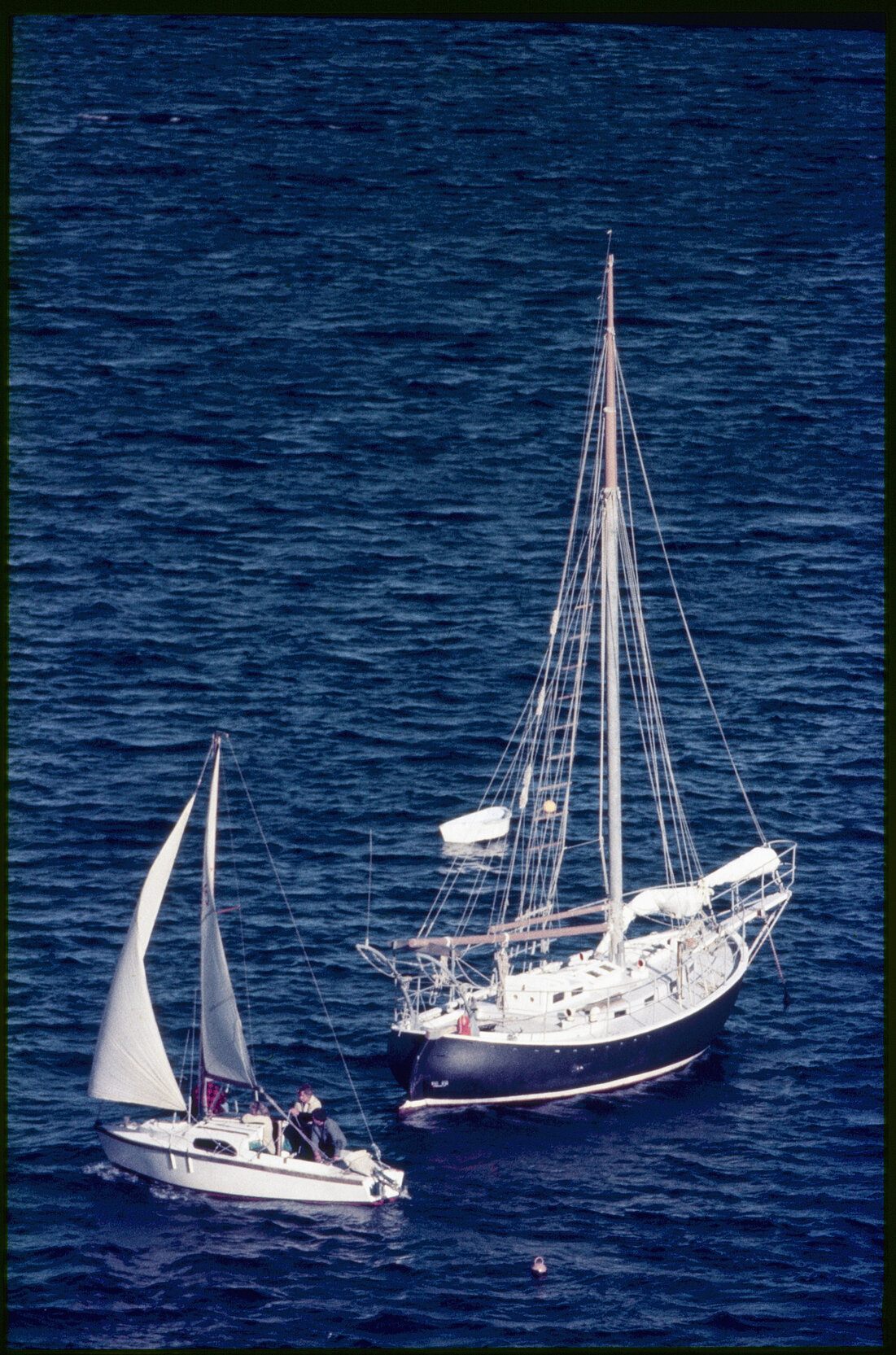Panoramas - Harbour
