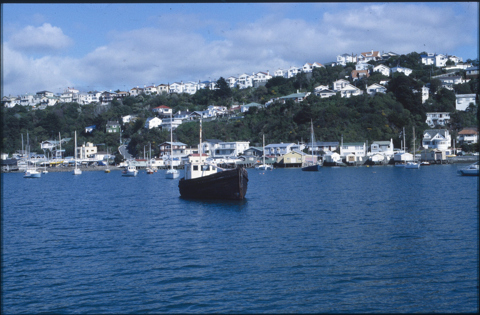 Panoramas - Harbour