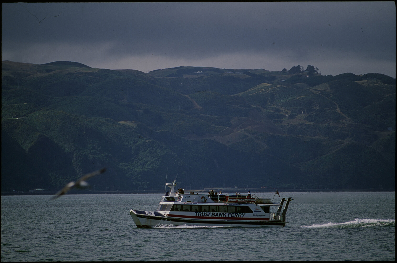 Panoramas - Harbour