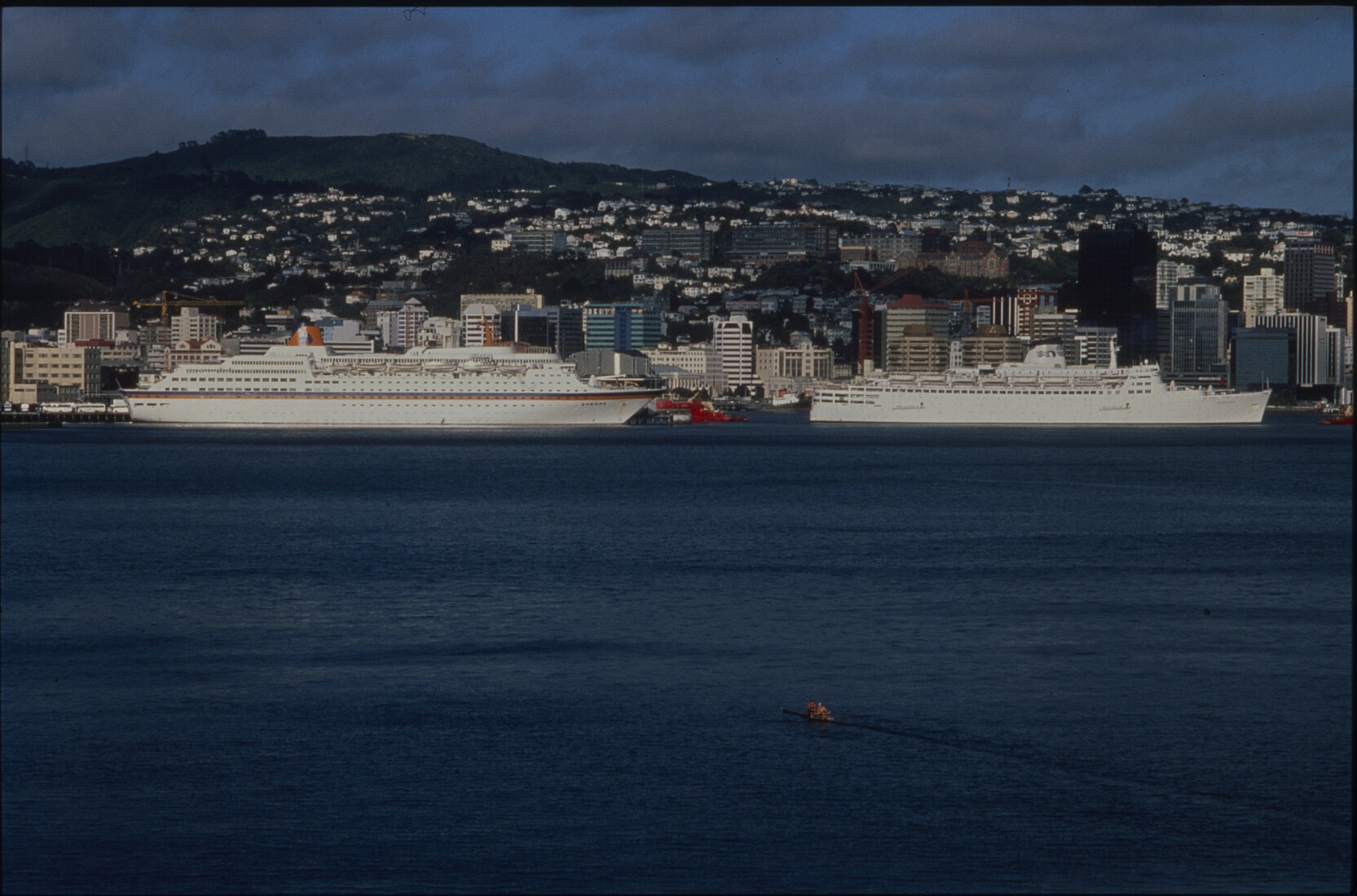 Cruise Ships in Wellington Harbour