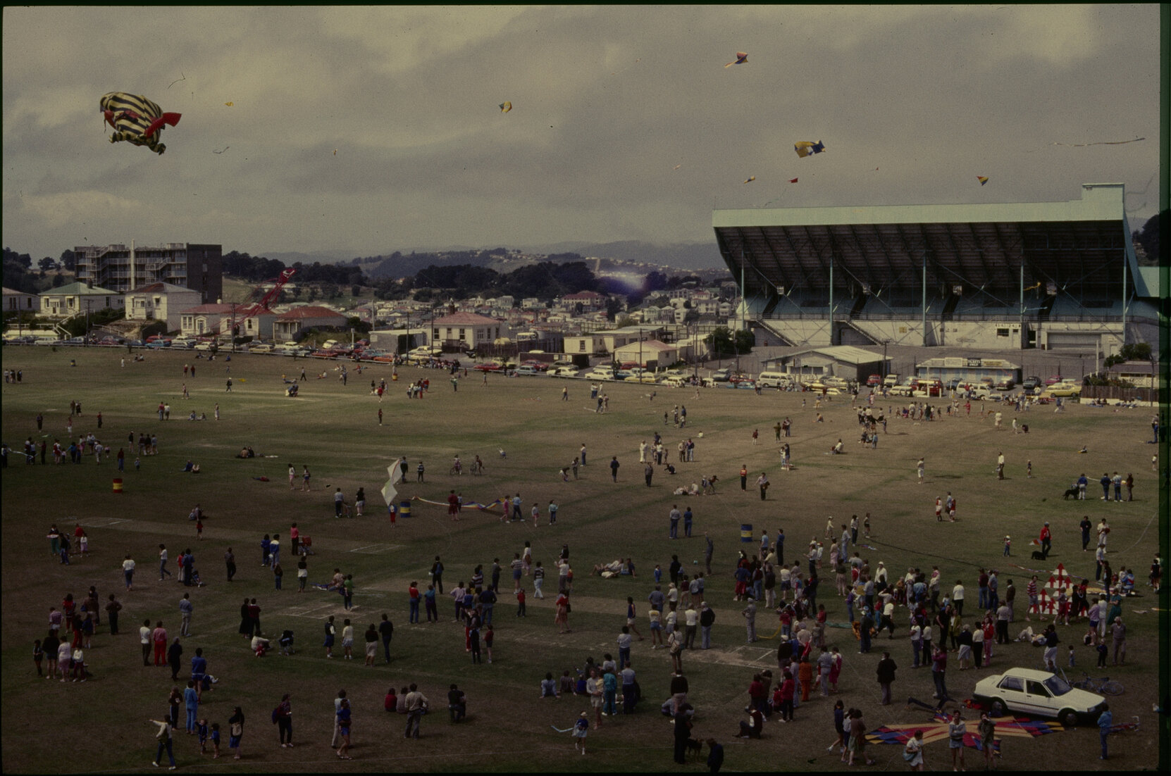 Kite flying, Summer City