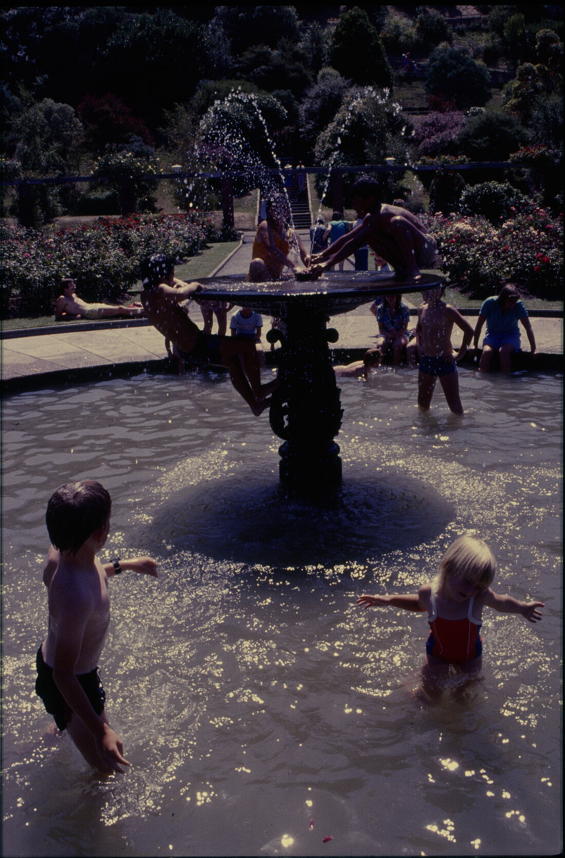Summer City