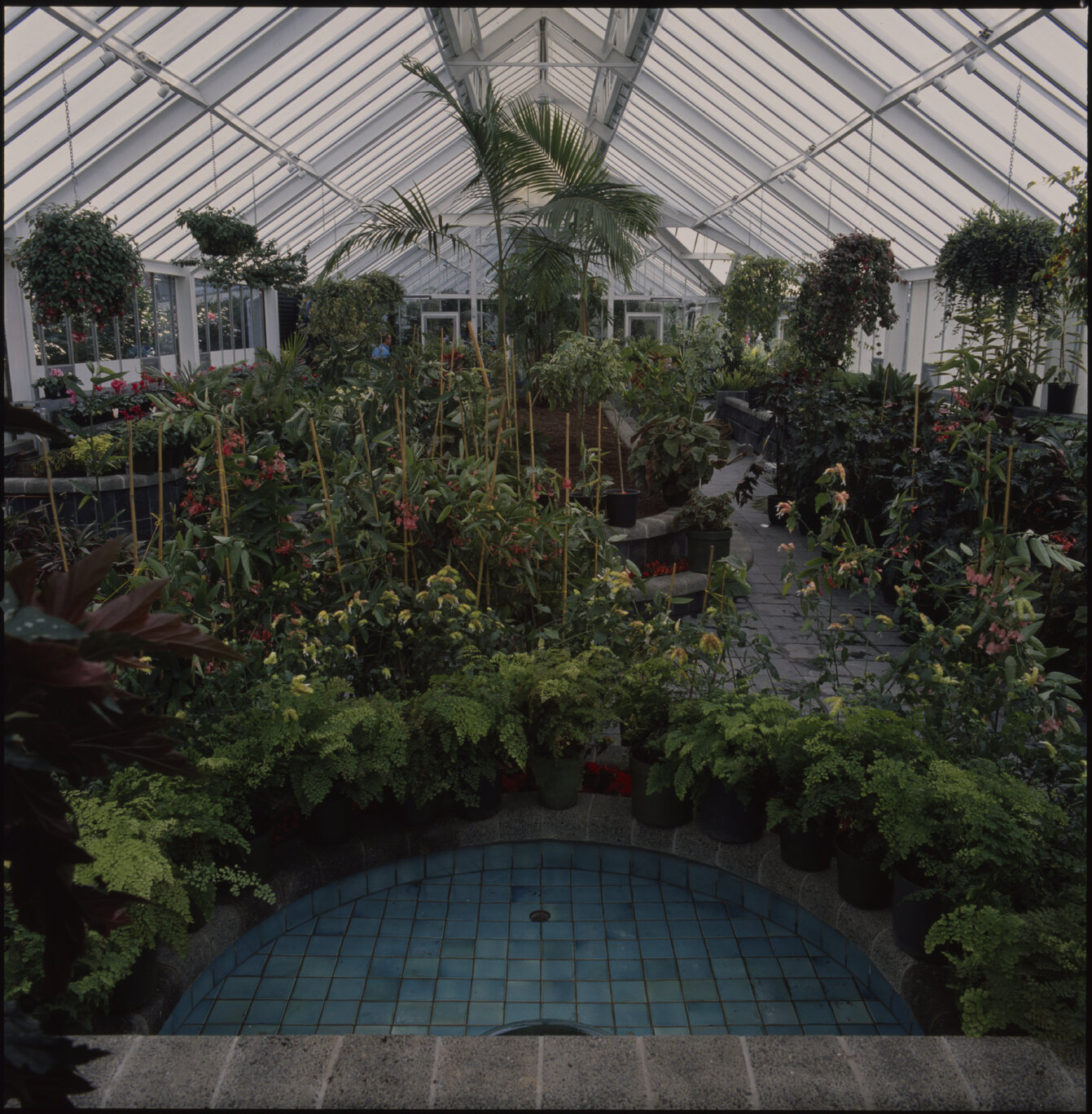 Parks and Recreation - Botanical Gardens: Begonia House